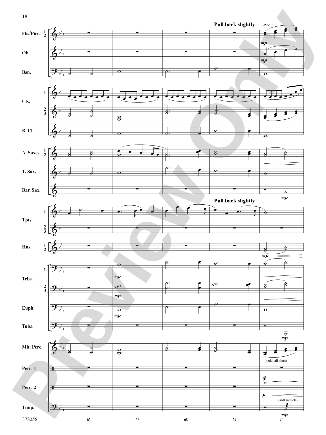Savannah River Rhapsody: Concert Band Conductor Score & Parts