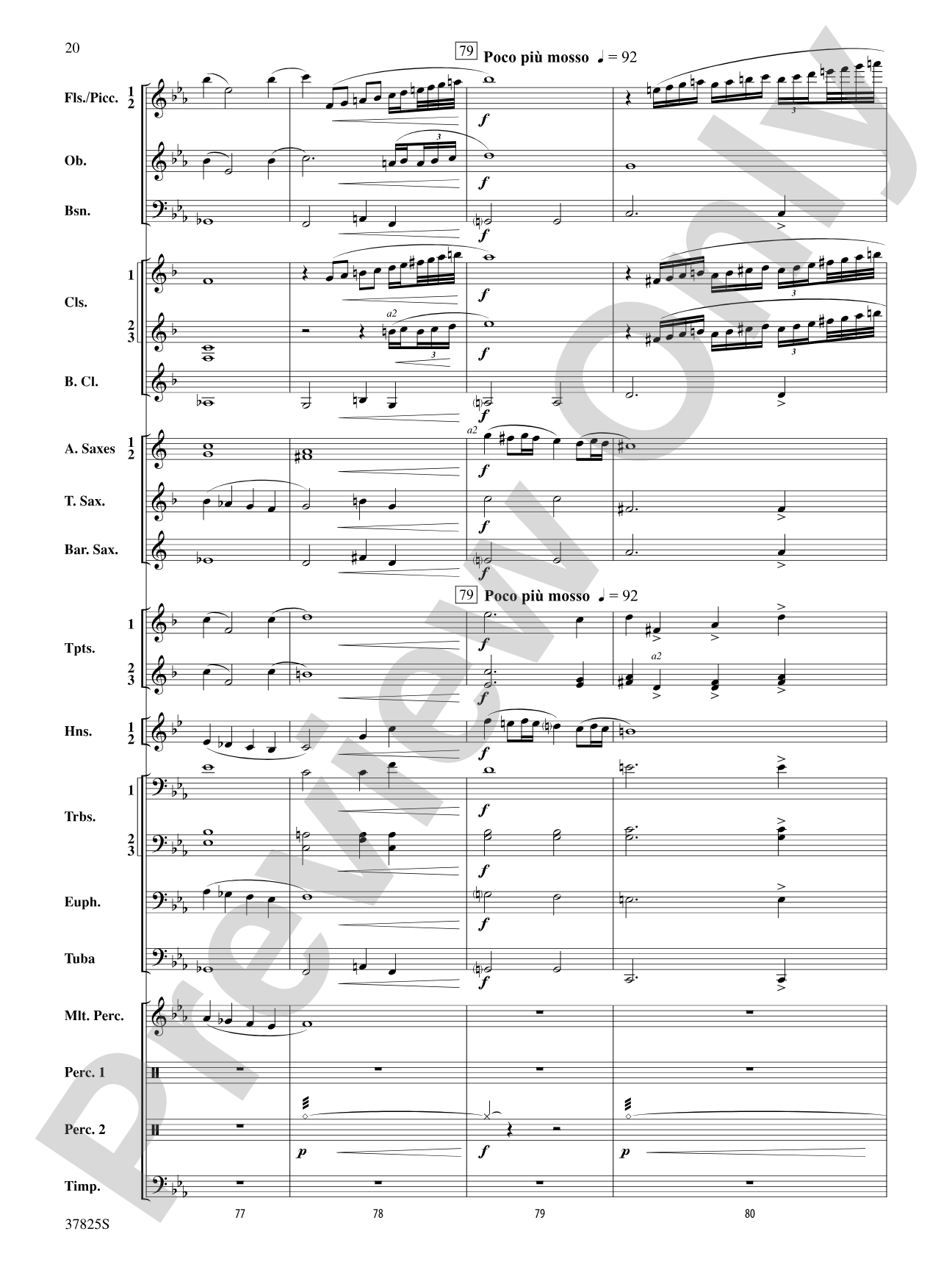 Savannah River Rhapsody: Concert Band Conductor Score & Parts