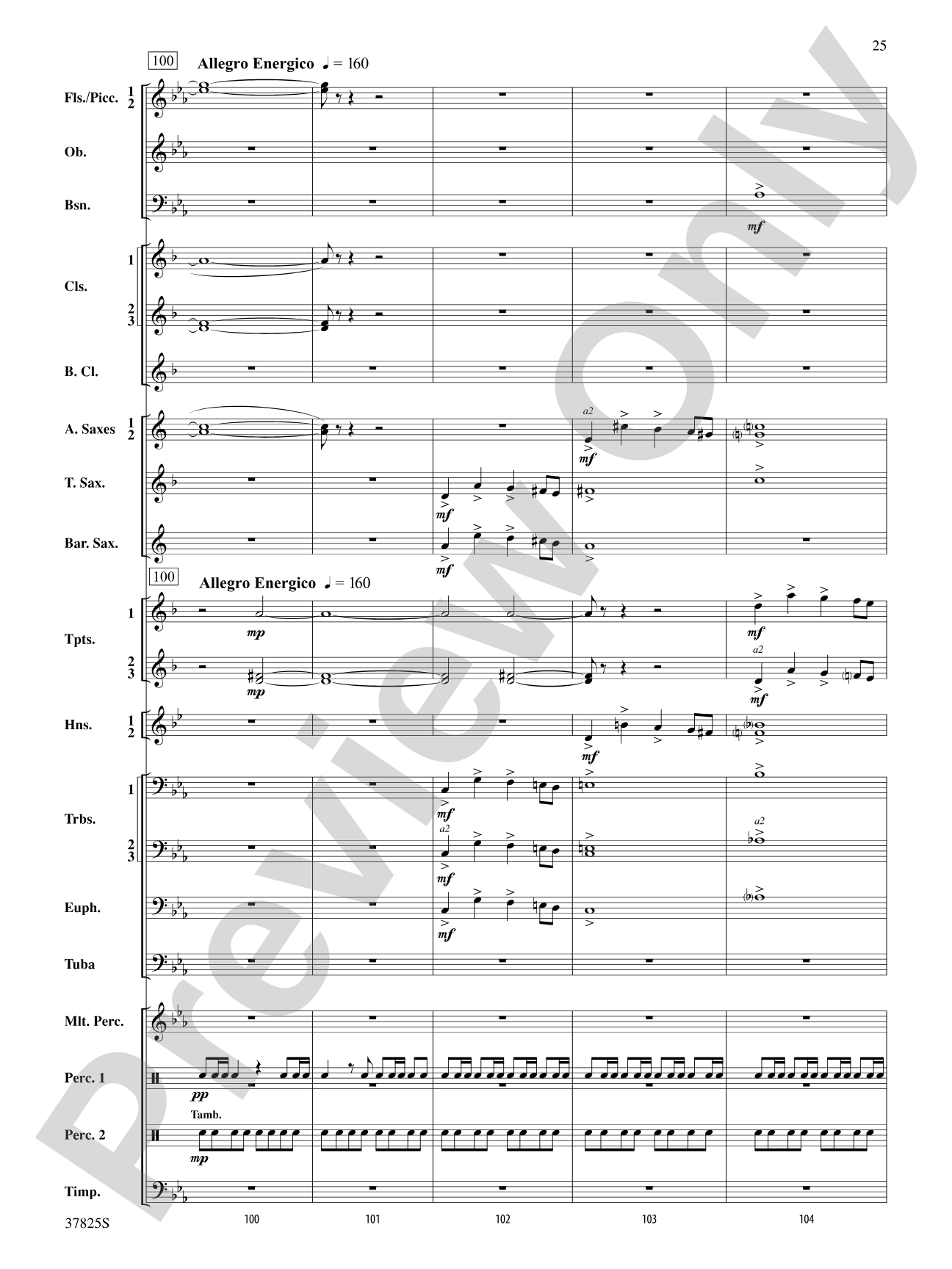 Savannah River Rhapsody: Concert Band Conductor Score & Parts