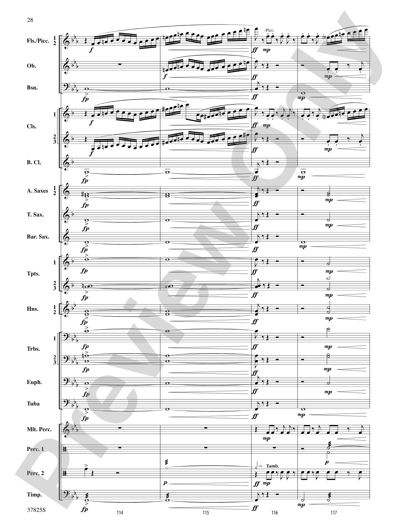 Savannah River Rhapsody: Concert Band Conductor Score & Parts