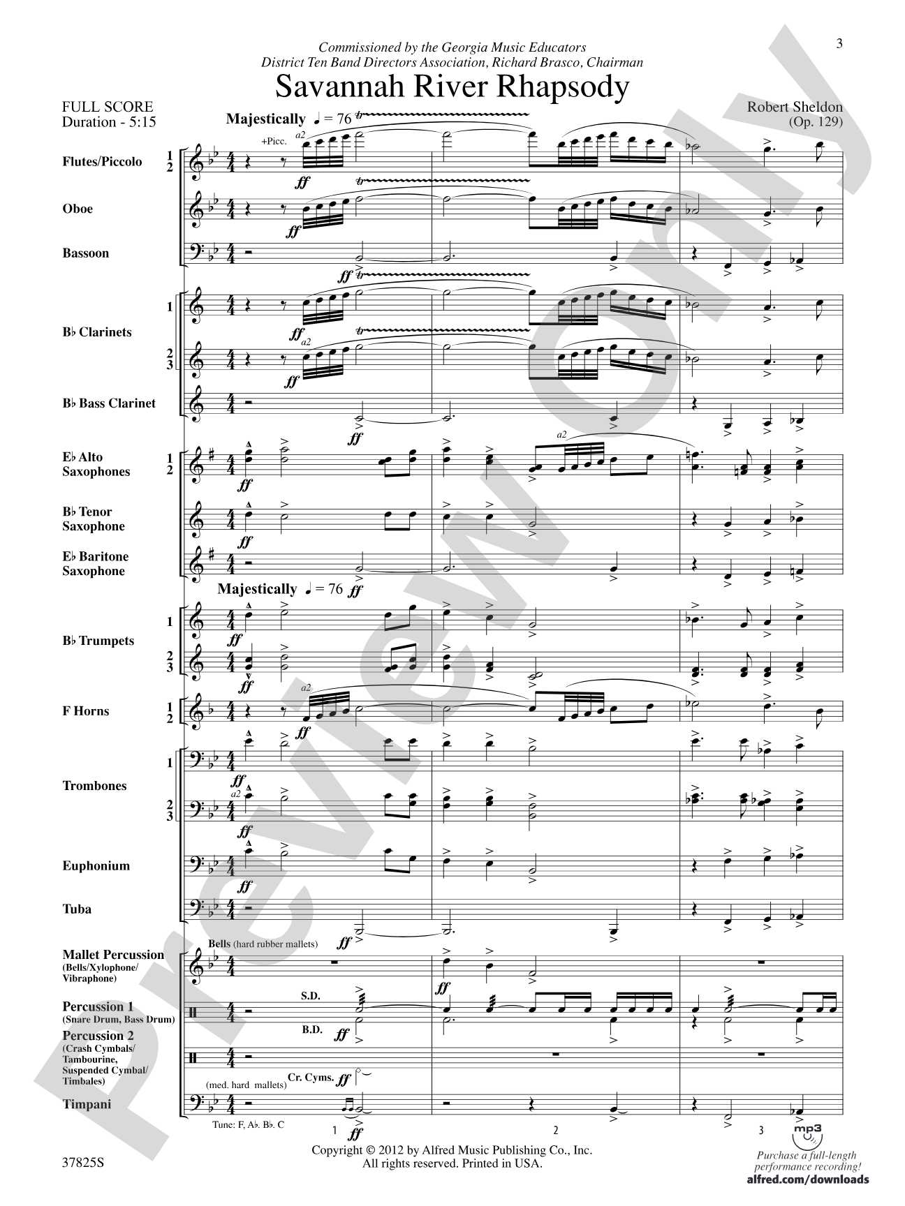 Savannah River Rhapsody: Concert Band Conductor Score & Parts