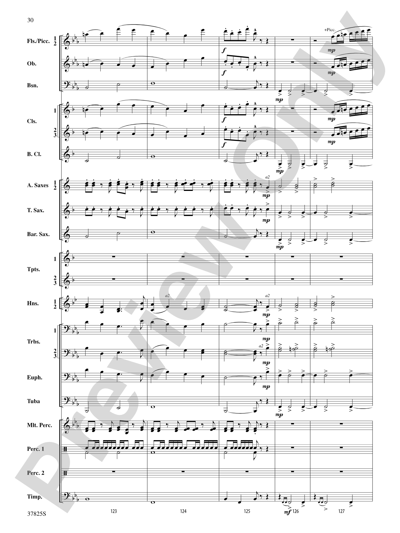 Savannah River Rhapsody: Concert Band Conductor Score & Parts