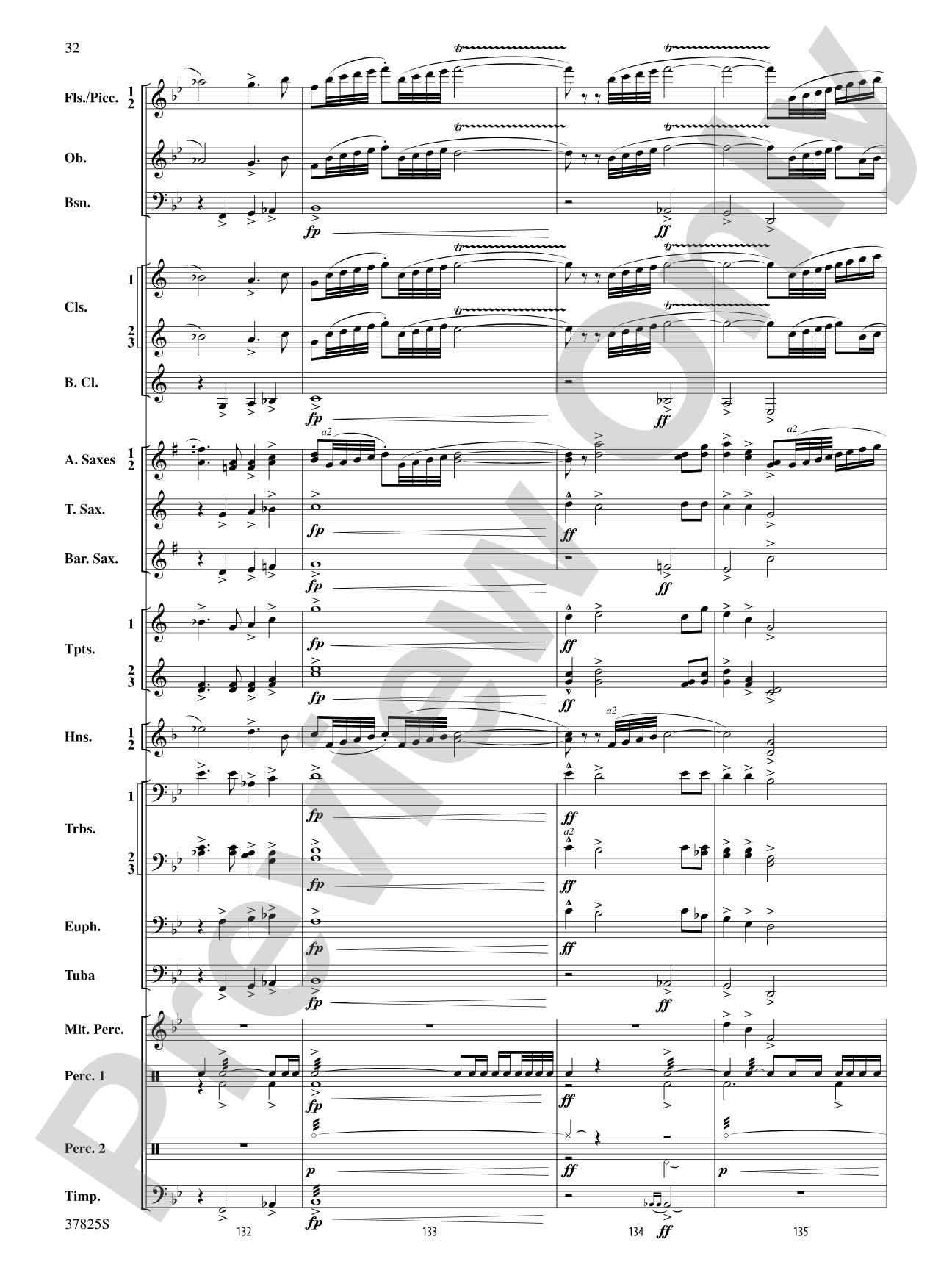 Savannah River Rhapsody: Concert Band Conductor Score & Parts