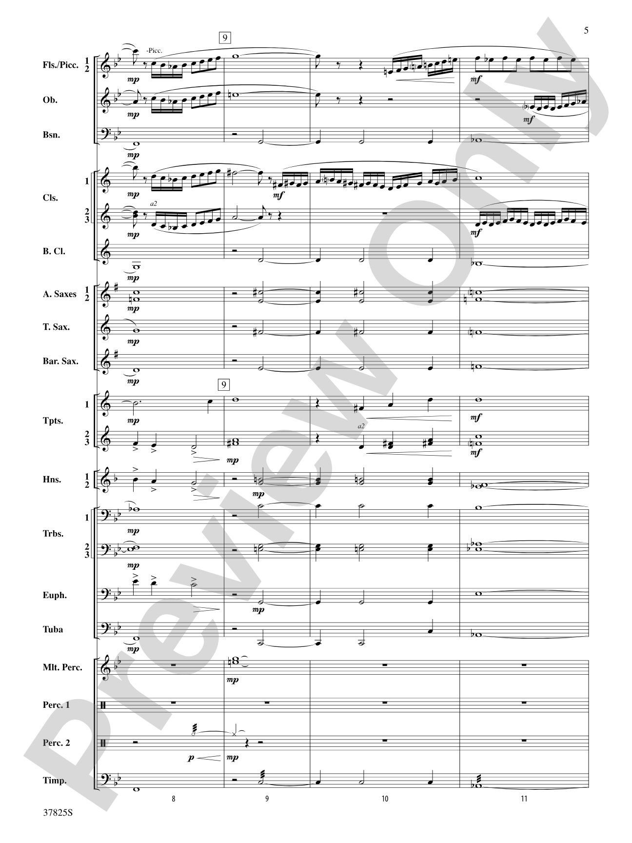 Savannah River Rhapsody: Concert Band Conductor Score & Parts