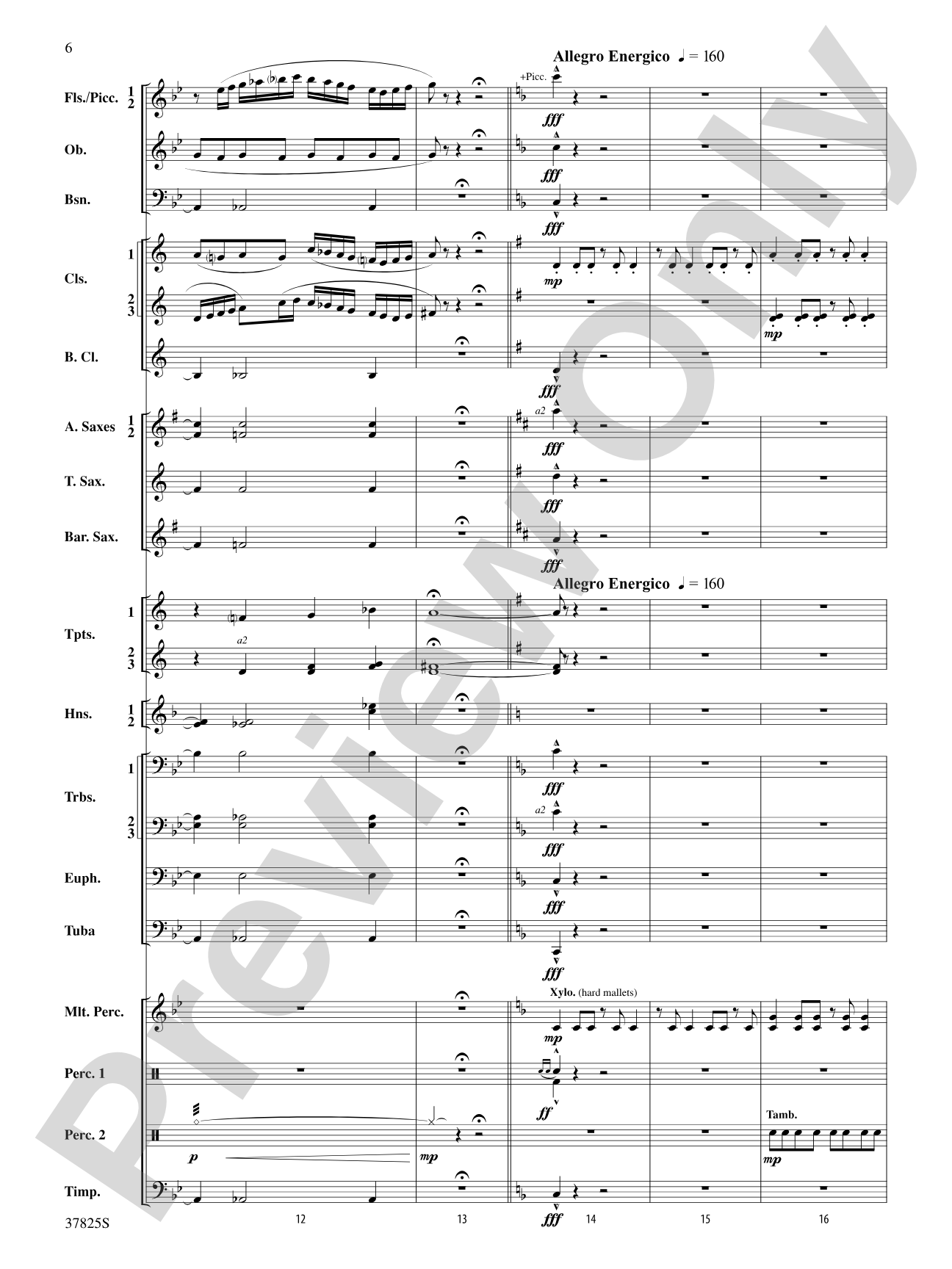Savannah River Rhapsody: Concert Band Conductor Score & Parts
