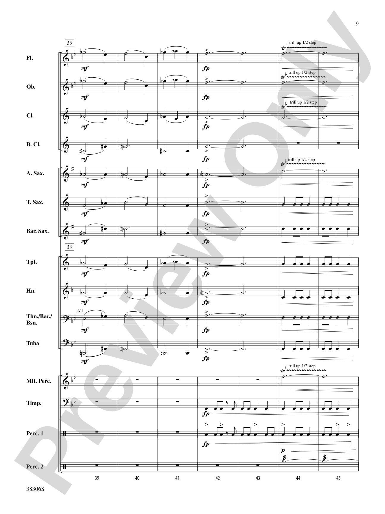 Blunderbuss Battles: Concert Band Conductor Score & Parts