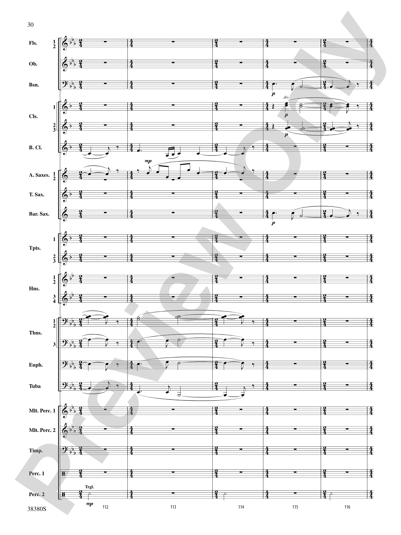 And in the End It Was Earth: Concert Band Conductor Score & Parts
