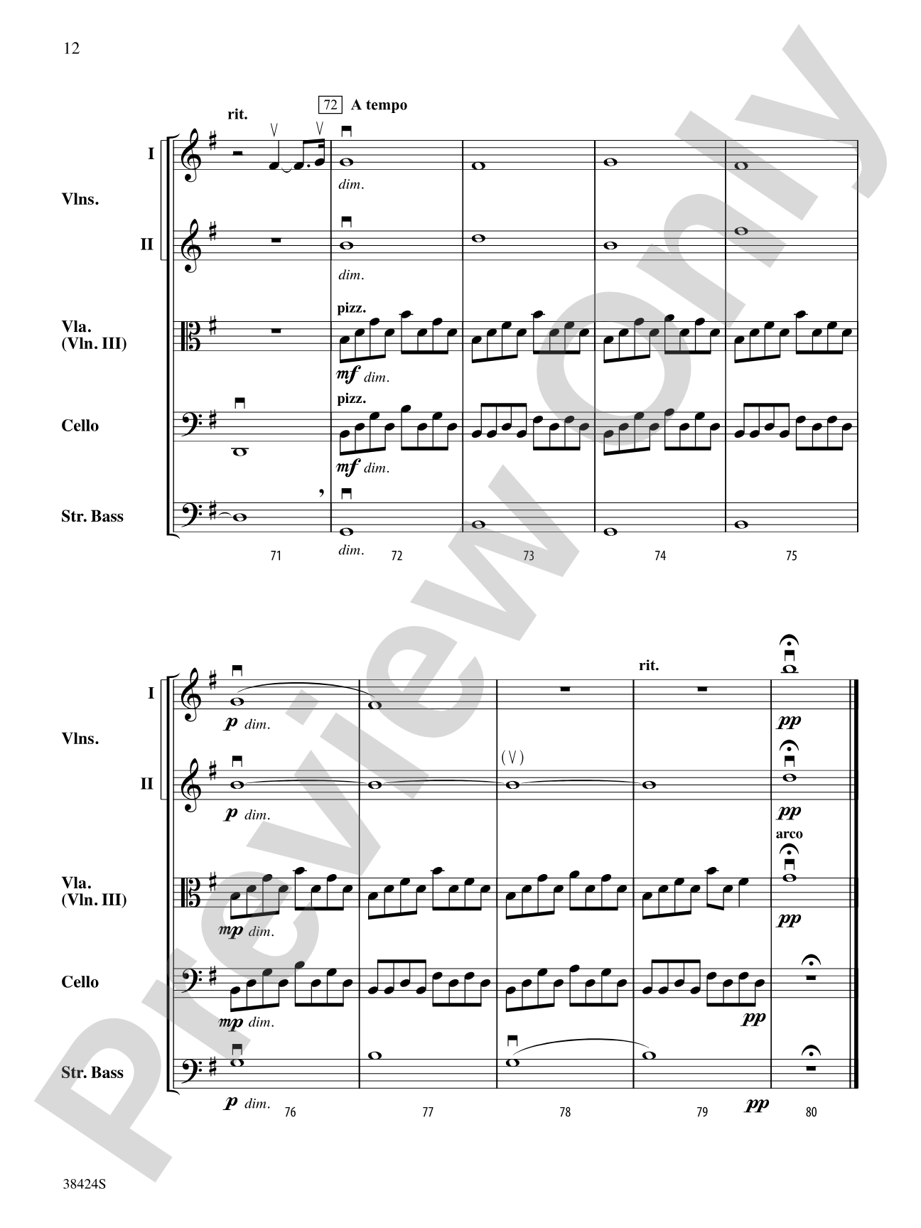 My Immortal: String Orchestra Conductor Score & Parts