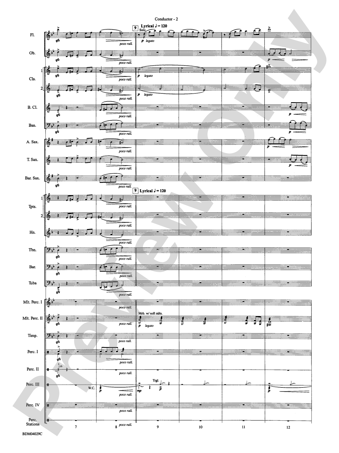 The Sleeping Place of the Stars: Concert Band Conductor Score & Parts