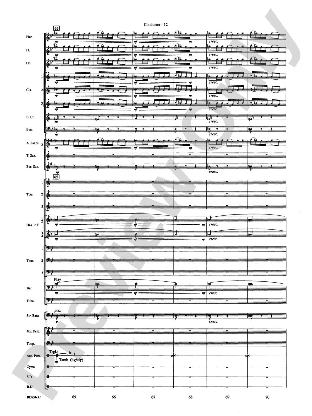 Waterdance: Concert Band Conductor Score & Parts