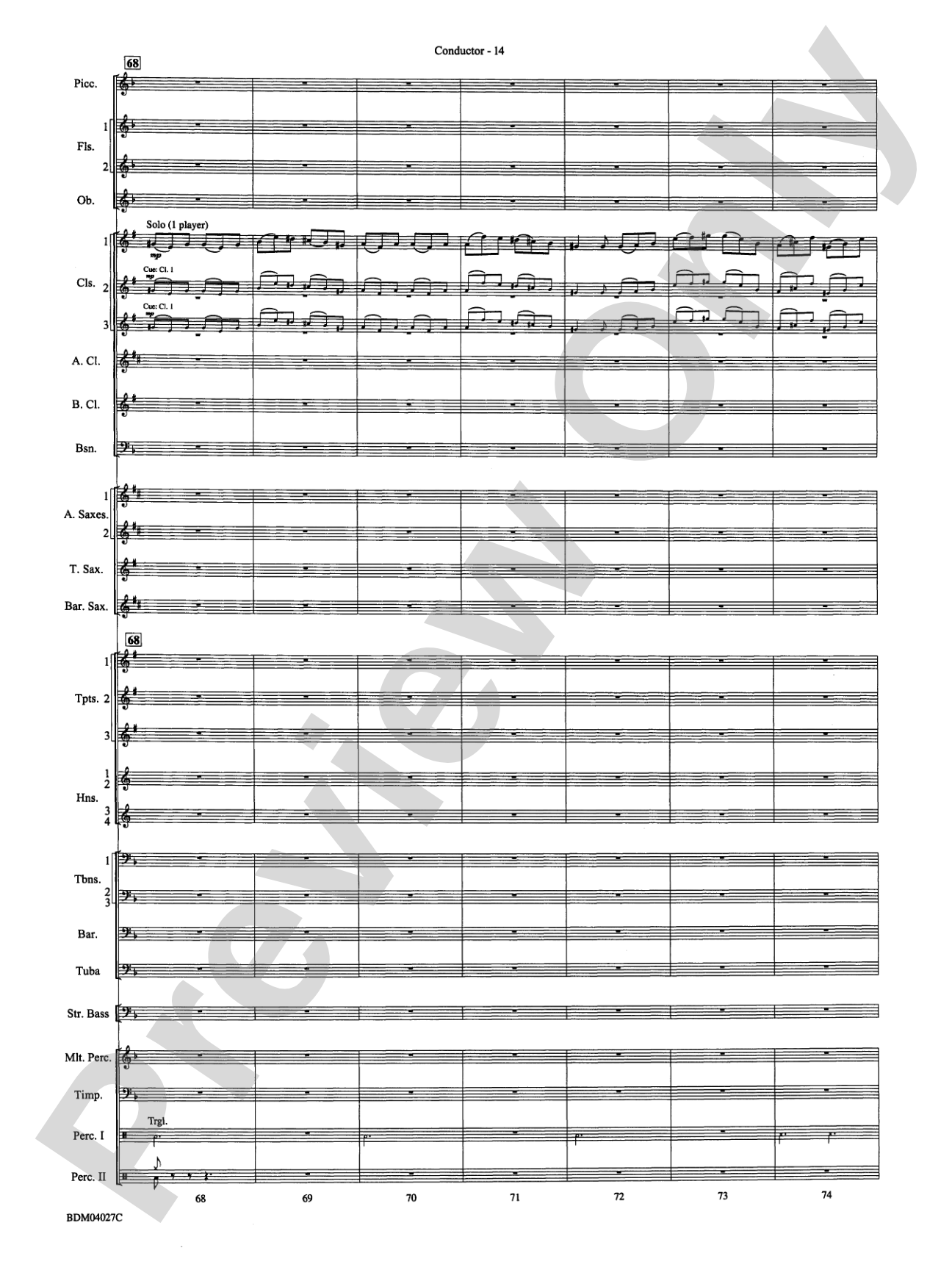 Tir Na Nog (A Celtic Legend): Concert Band Conductor Score & Parts