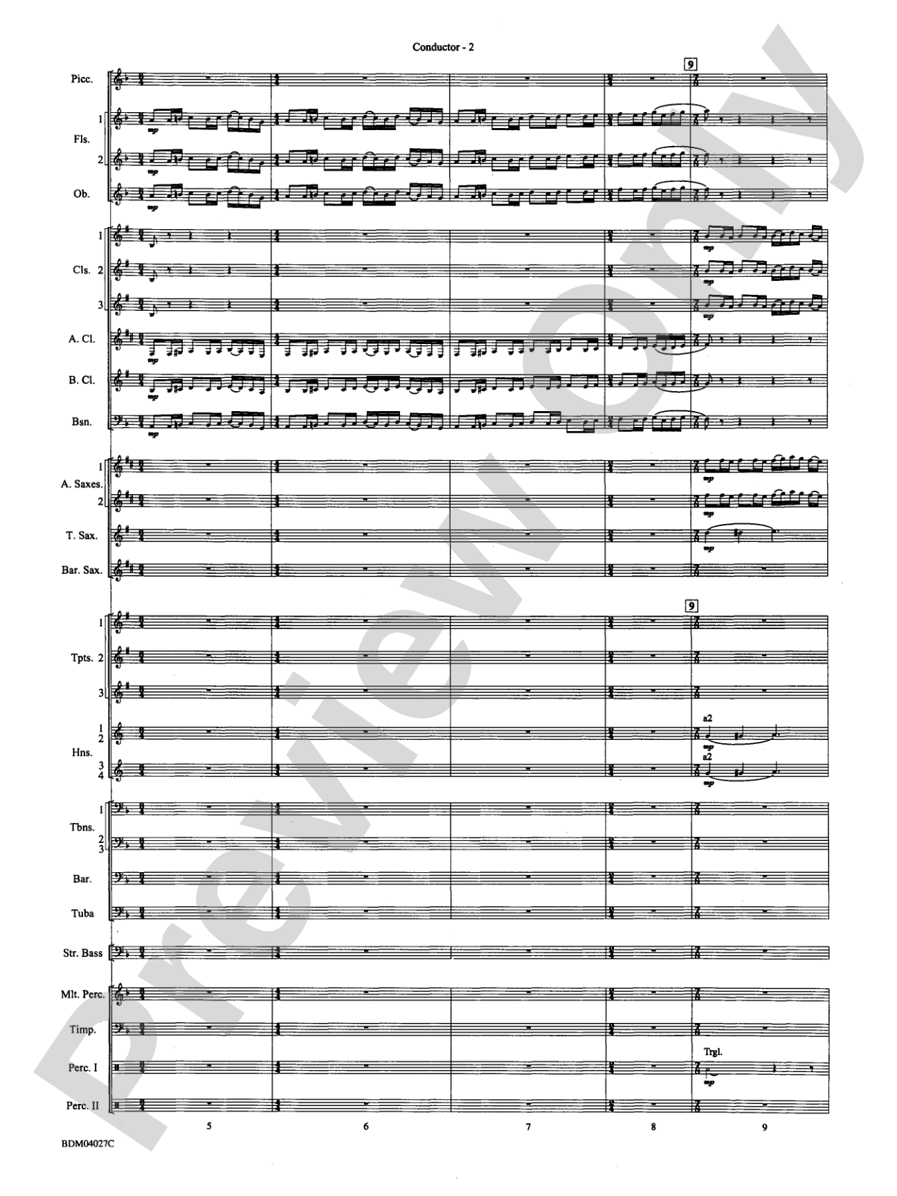 Tir Na Nog (A Celtic Legend): Concert Band Conductor Score & Parts
