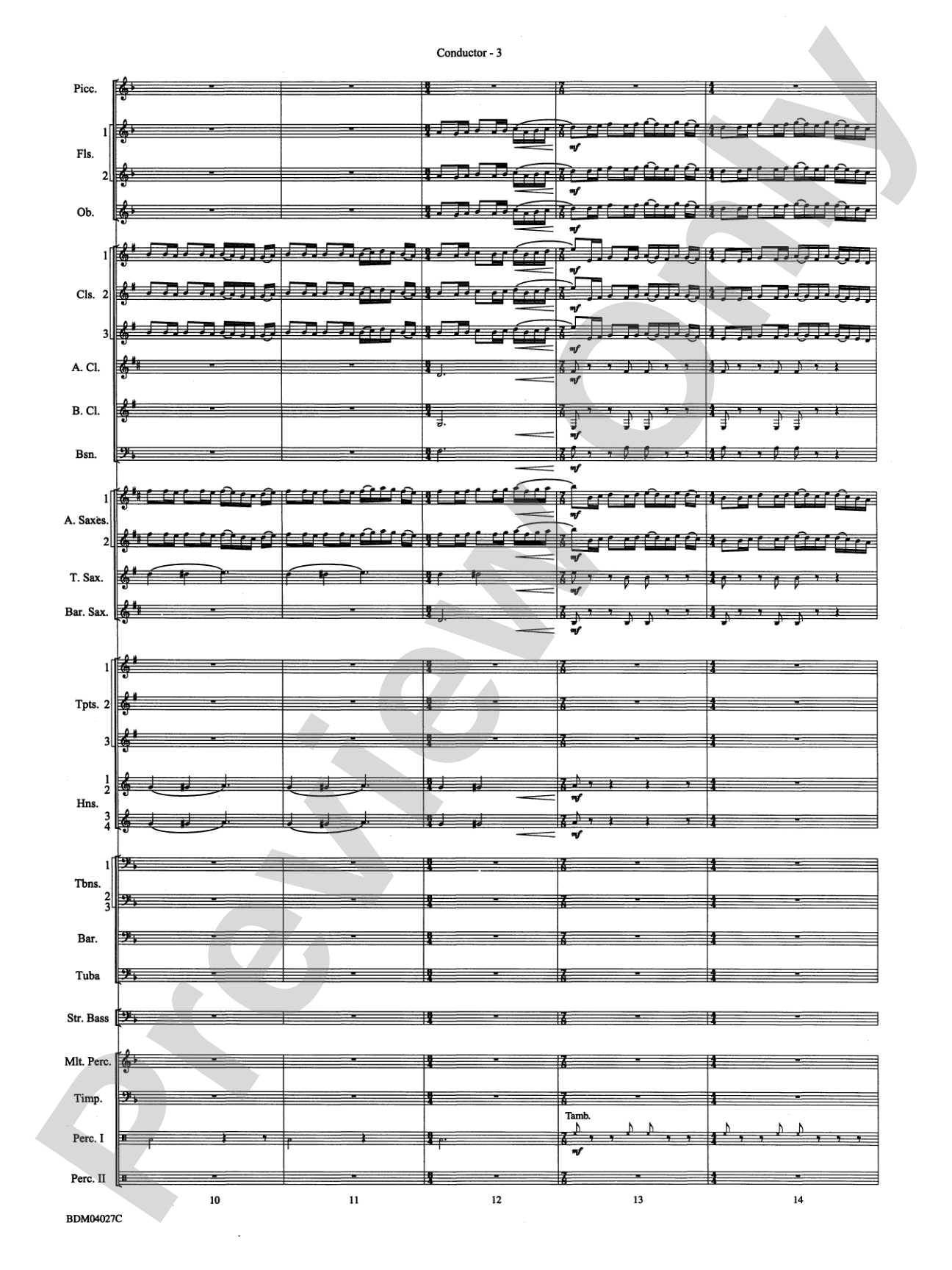Tir Na Nog (A Celtic Legend): Concert Band Conductor Score & Parts