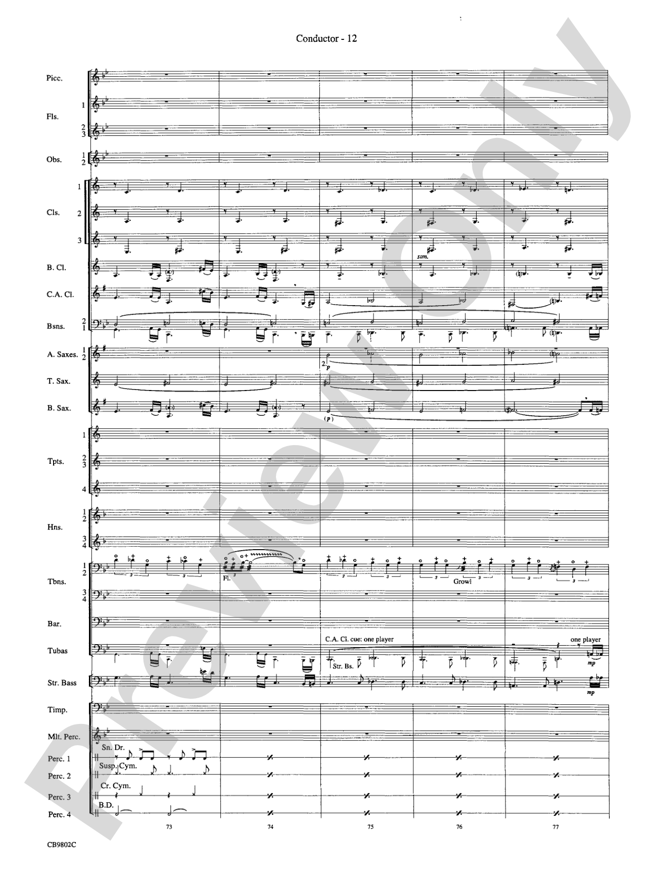 Porgy and Bess® (Medley): Concert Band Conductor Score & Parts