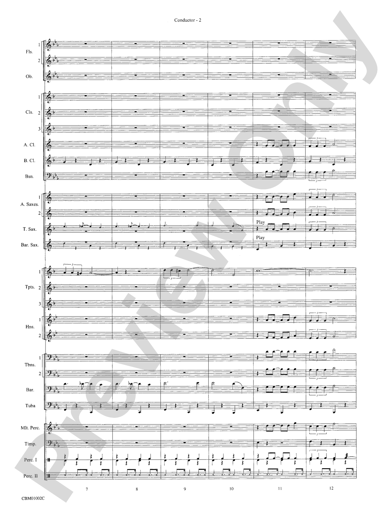 Chicago! (from the Musical Chicago!): Score