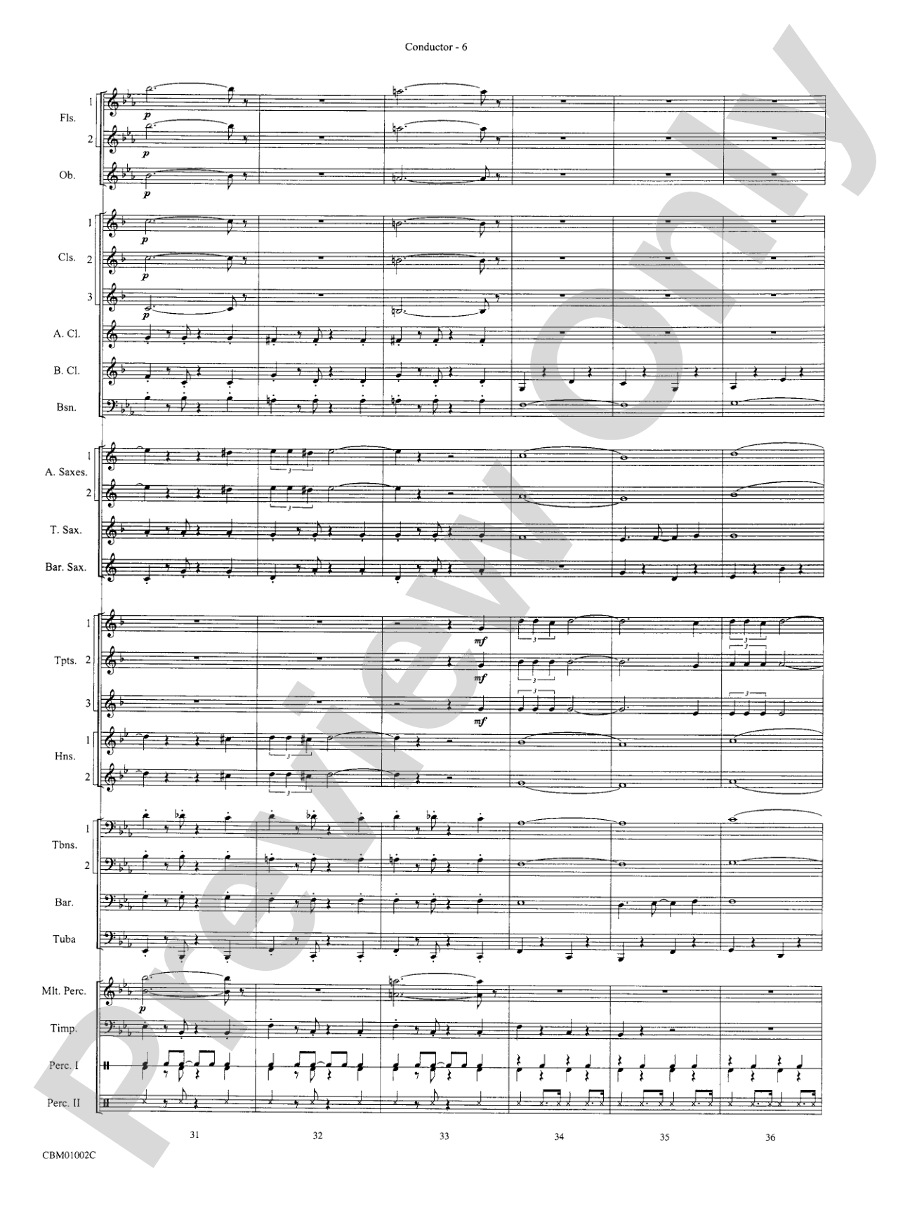 Chicago! (from the Musical Chicago!): Score
