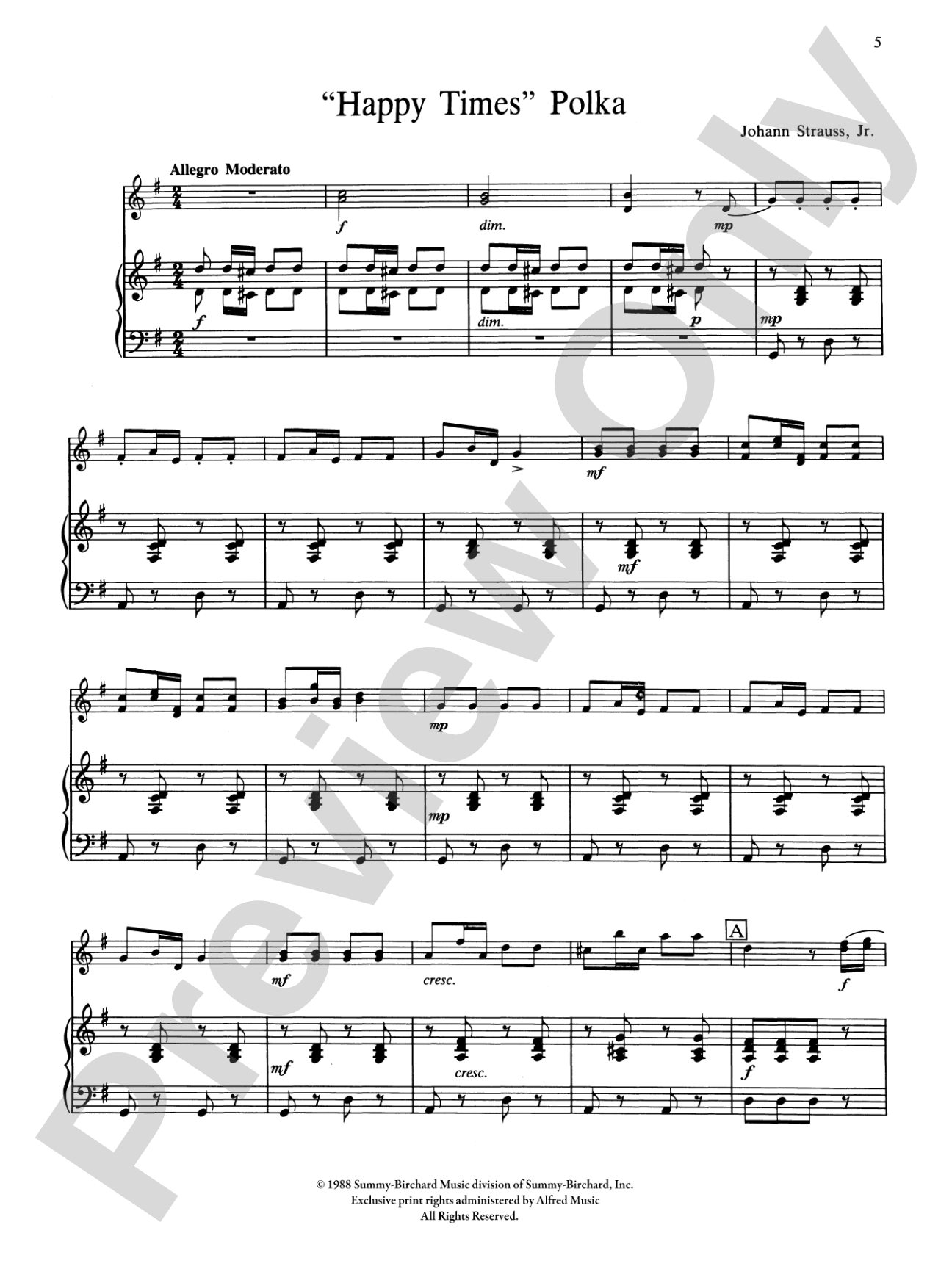 "Taka Taka" Polka and "Happy Times" Polka: Violin with Piano (Viola, Cello, Bass & Flute Opt.) Book