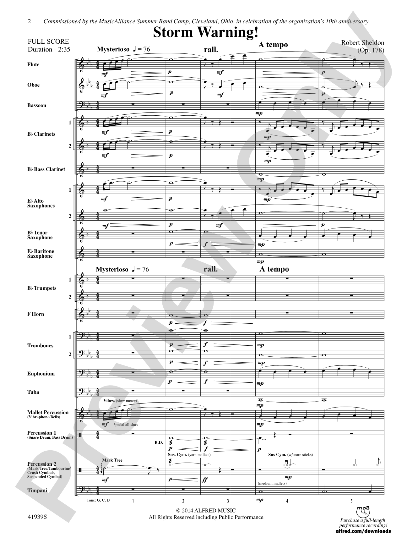 Storm Warning!: Concert Band Conductor Score & Parts