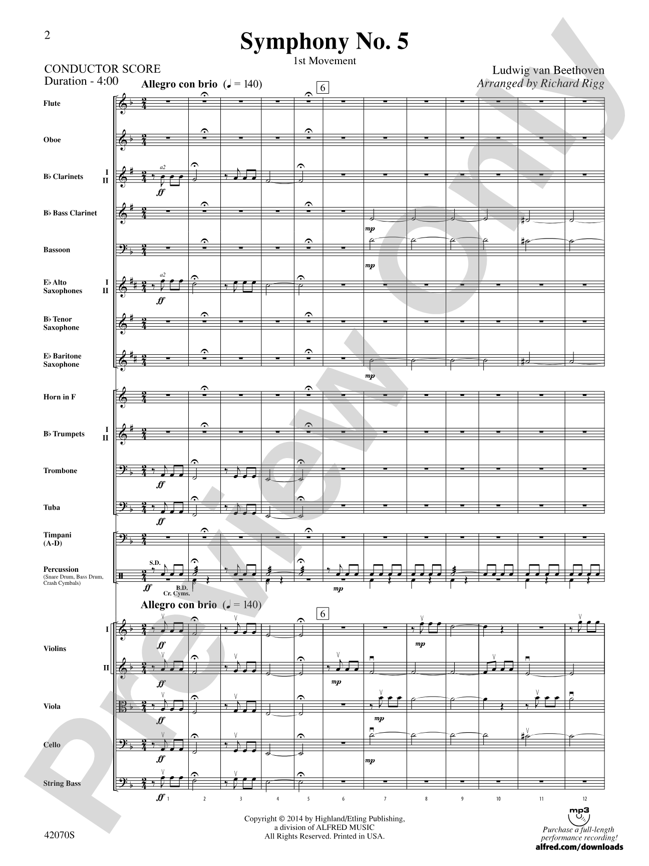 Symphony No. 5: Full Orchestra Conductor Score & Parts