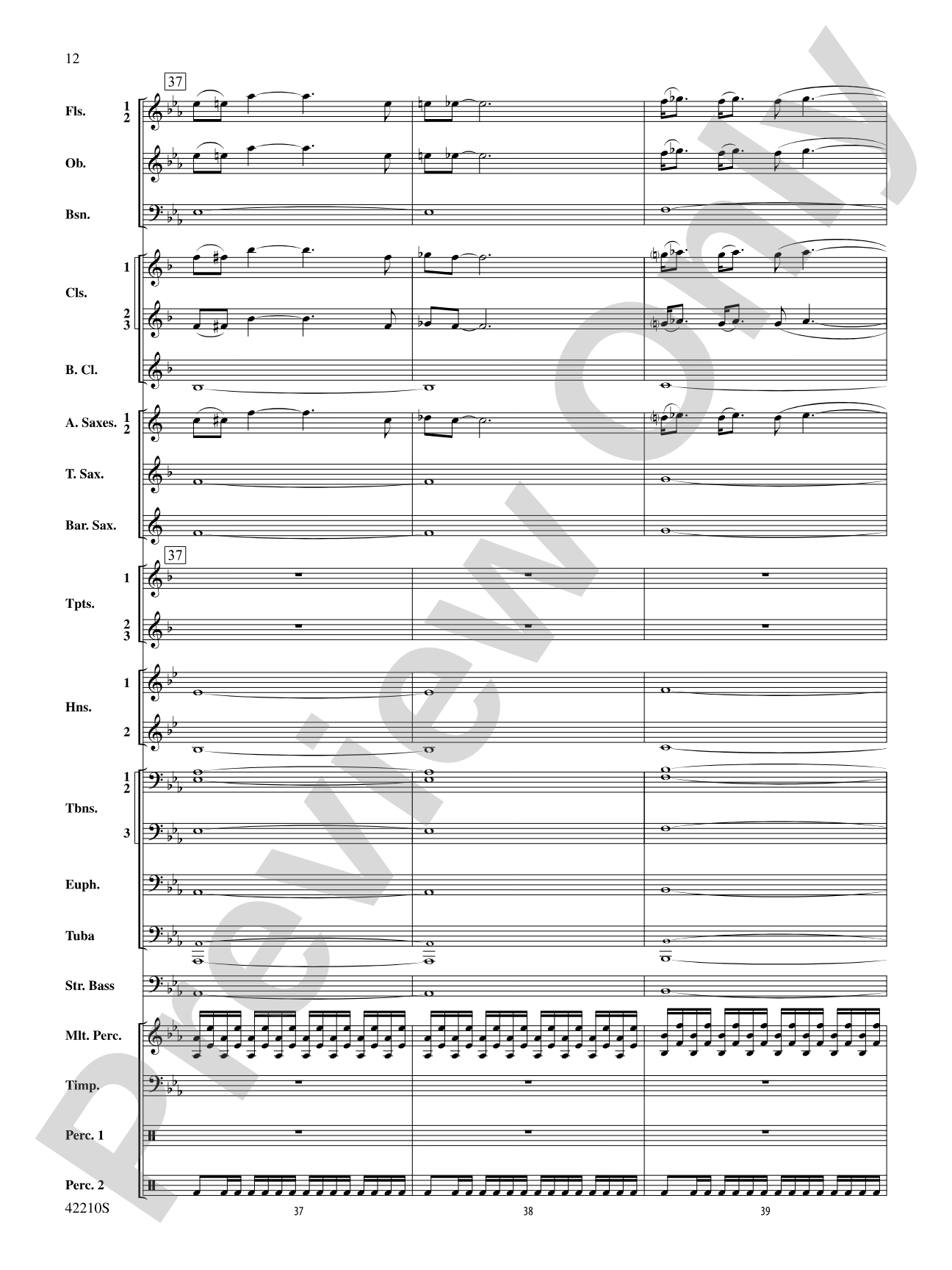 Beyond the Forest (from The Hobbit: The Desolation of Smaug): Concert Band Conductor Score & Parts