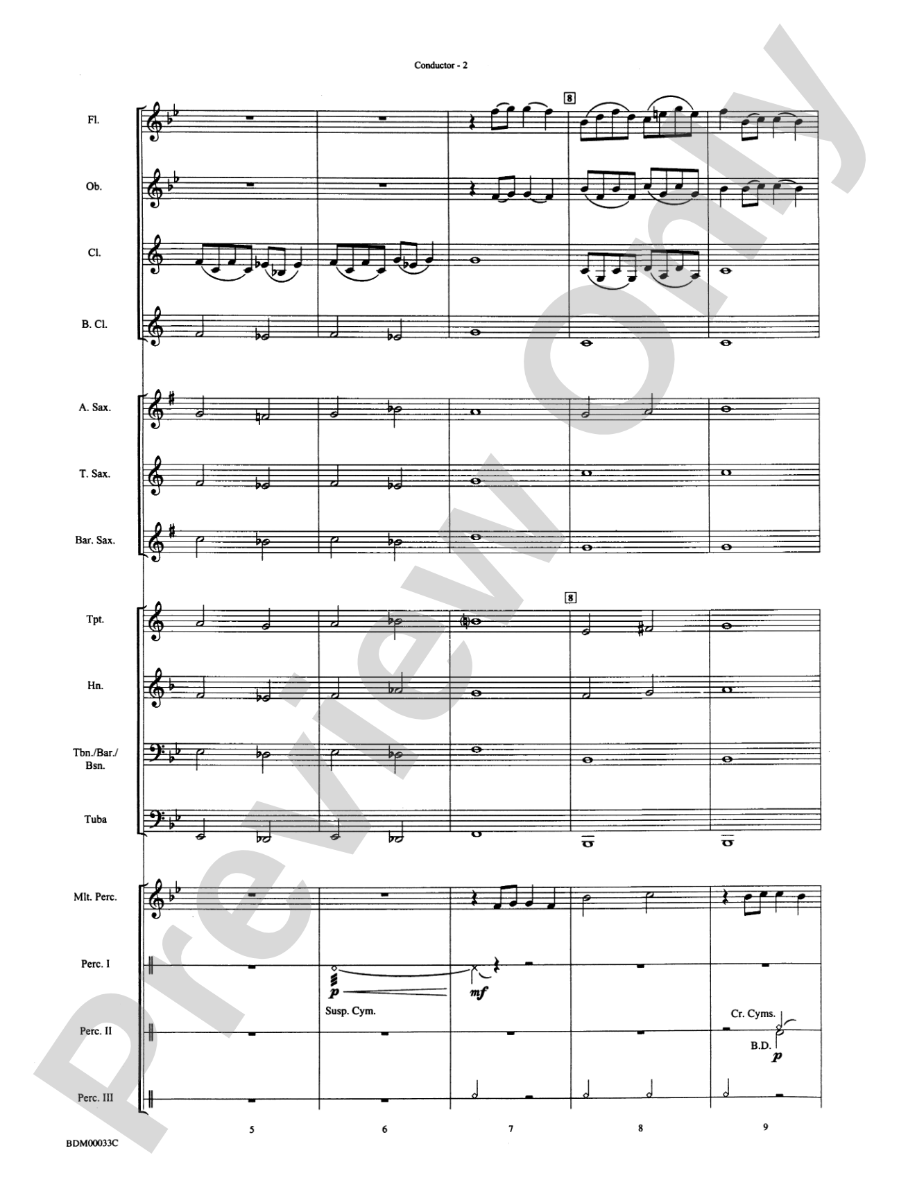 Thunderstorms: Concert Band Conductor Score & Parts