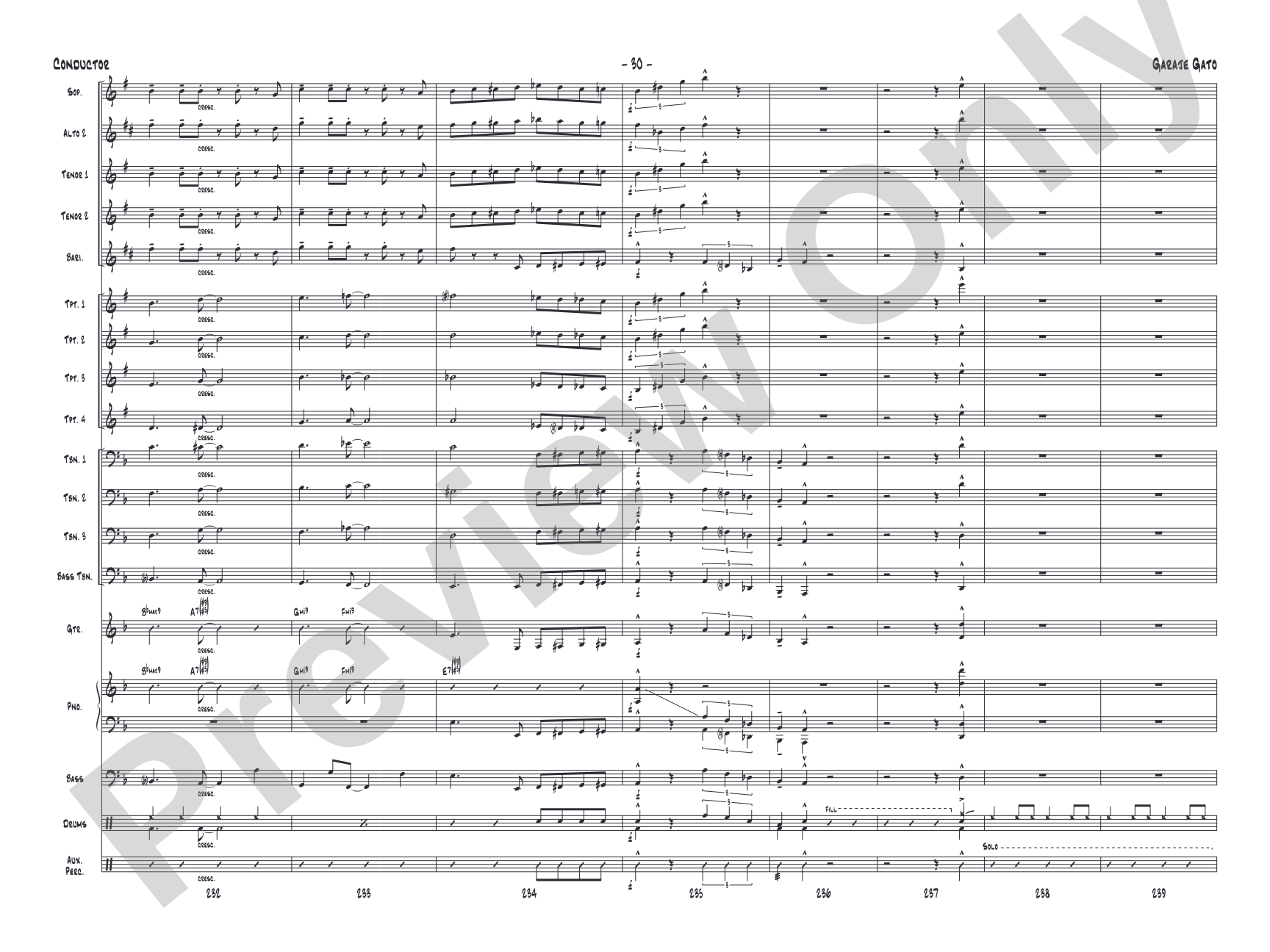 Garaje Gato: Jazz Ensemble Conductor Score & Parts