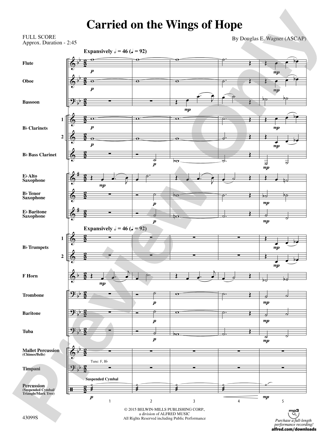 Carried on the Wings of Hope: Concert Band Conductor Score & Parts