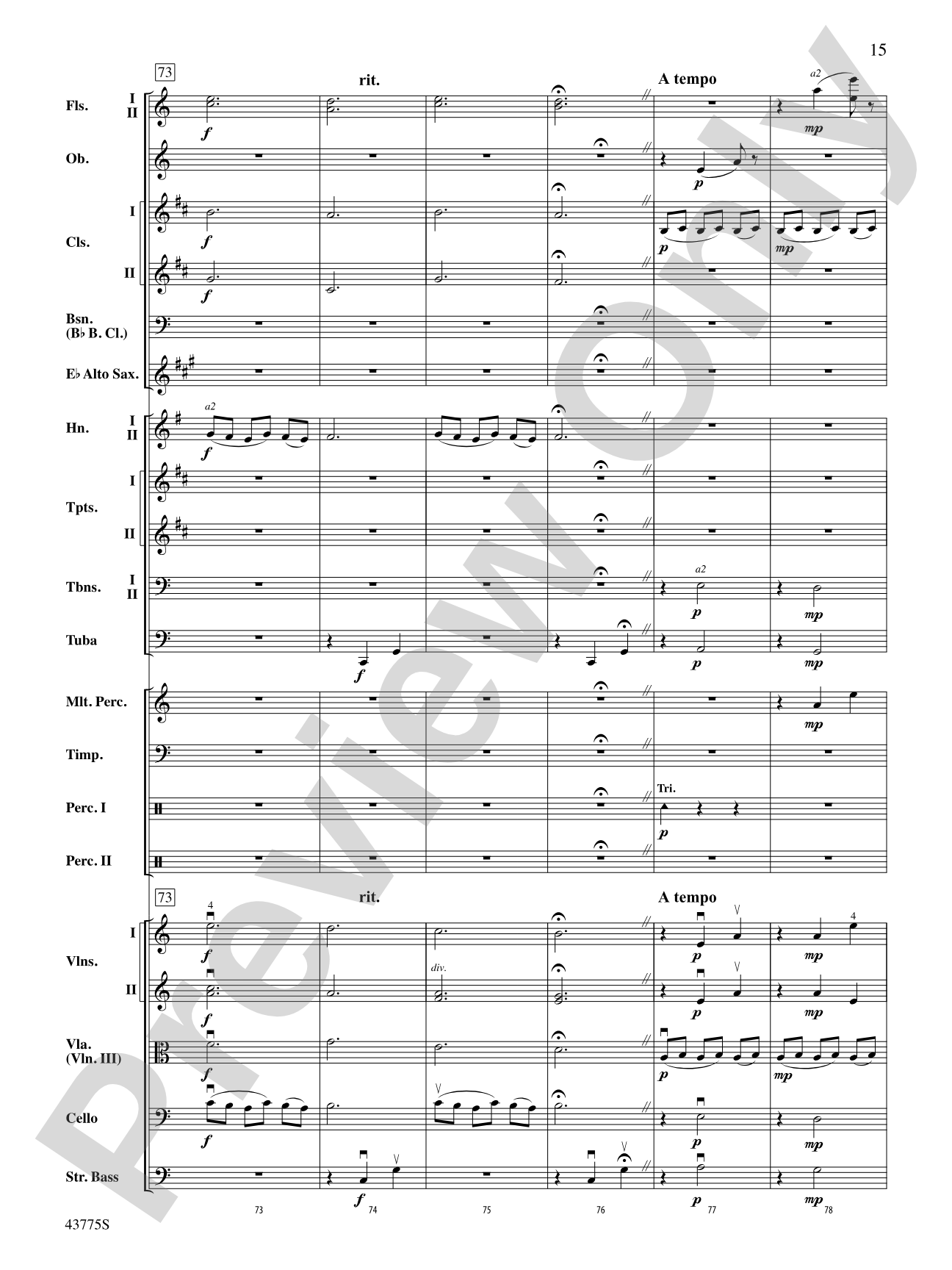 Ancient Echoes of Time: Full Orchestra Conductor Score & Parts