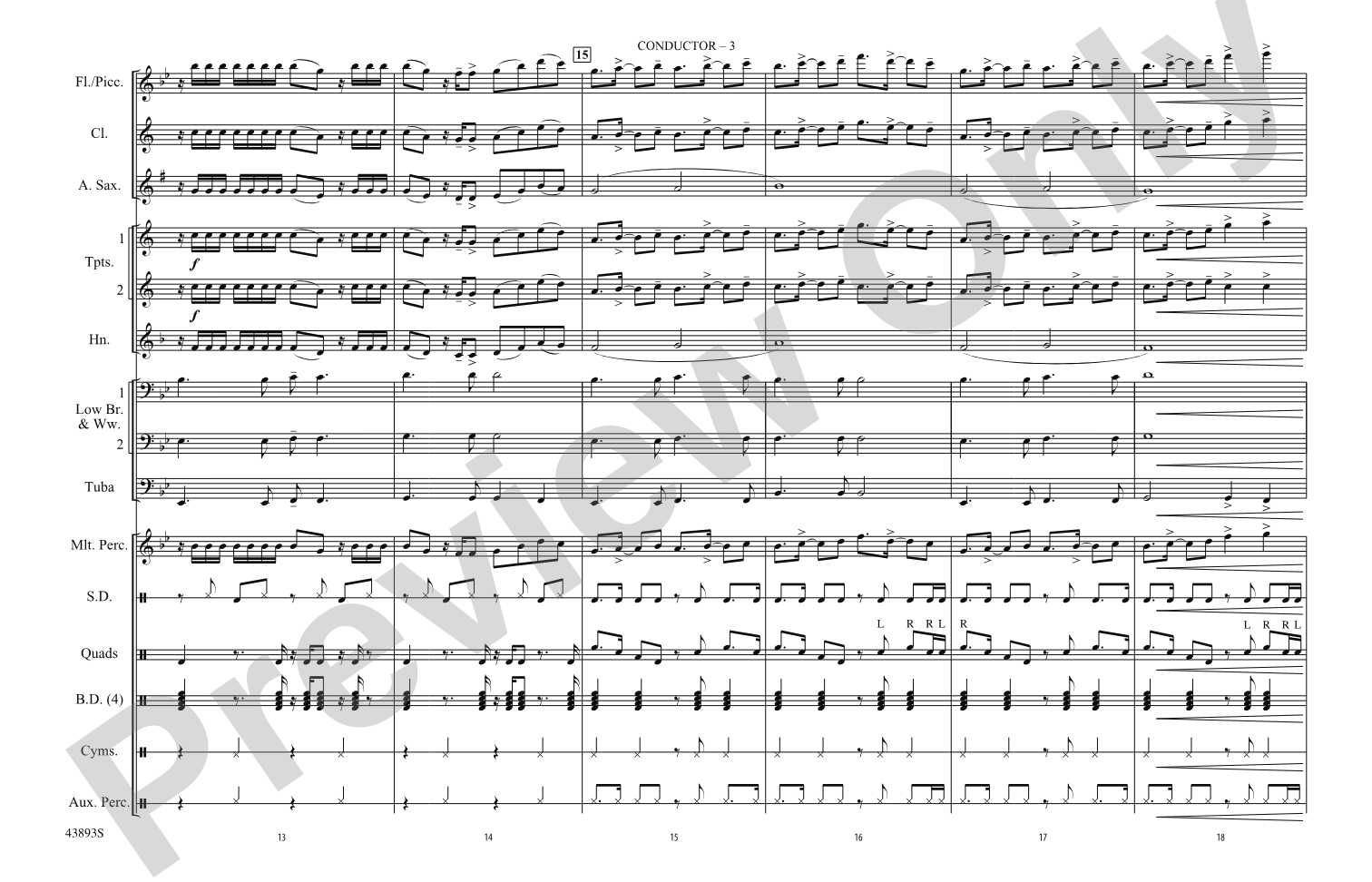 Problem: Marching Band Conductor Score & Parts