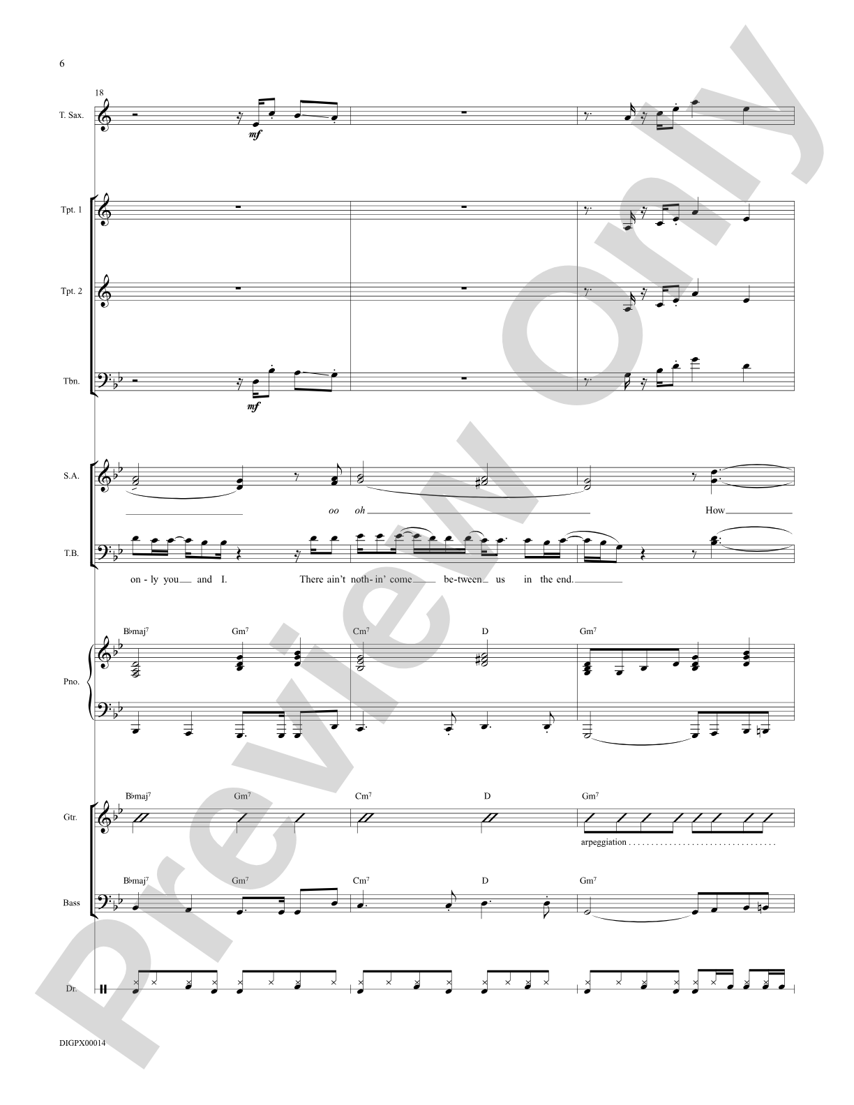 Shadow Dancing: Score: Choral Octavo Digital SoundPax