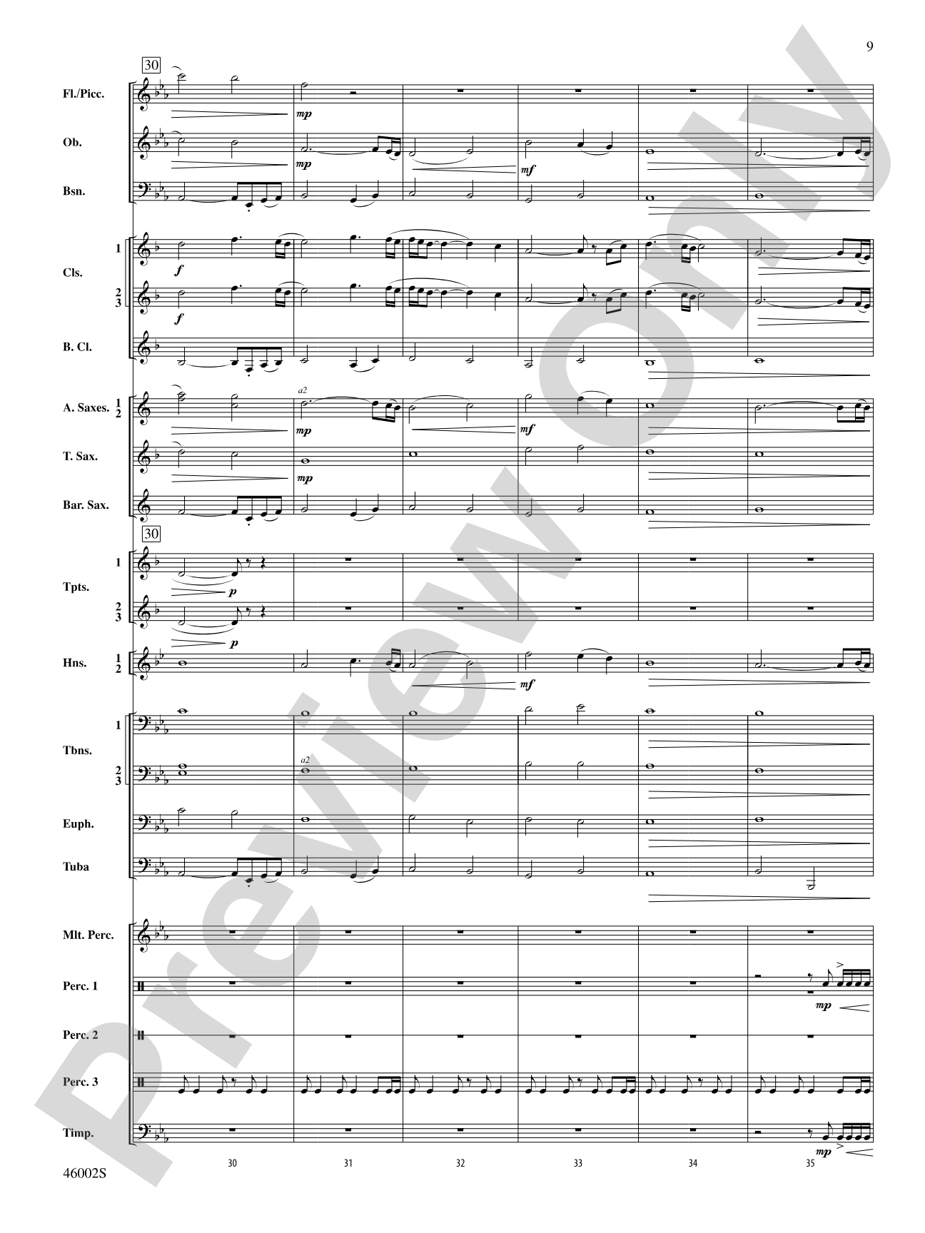 Einherjar: Concert Band Conductor Score & Parts