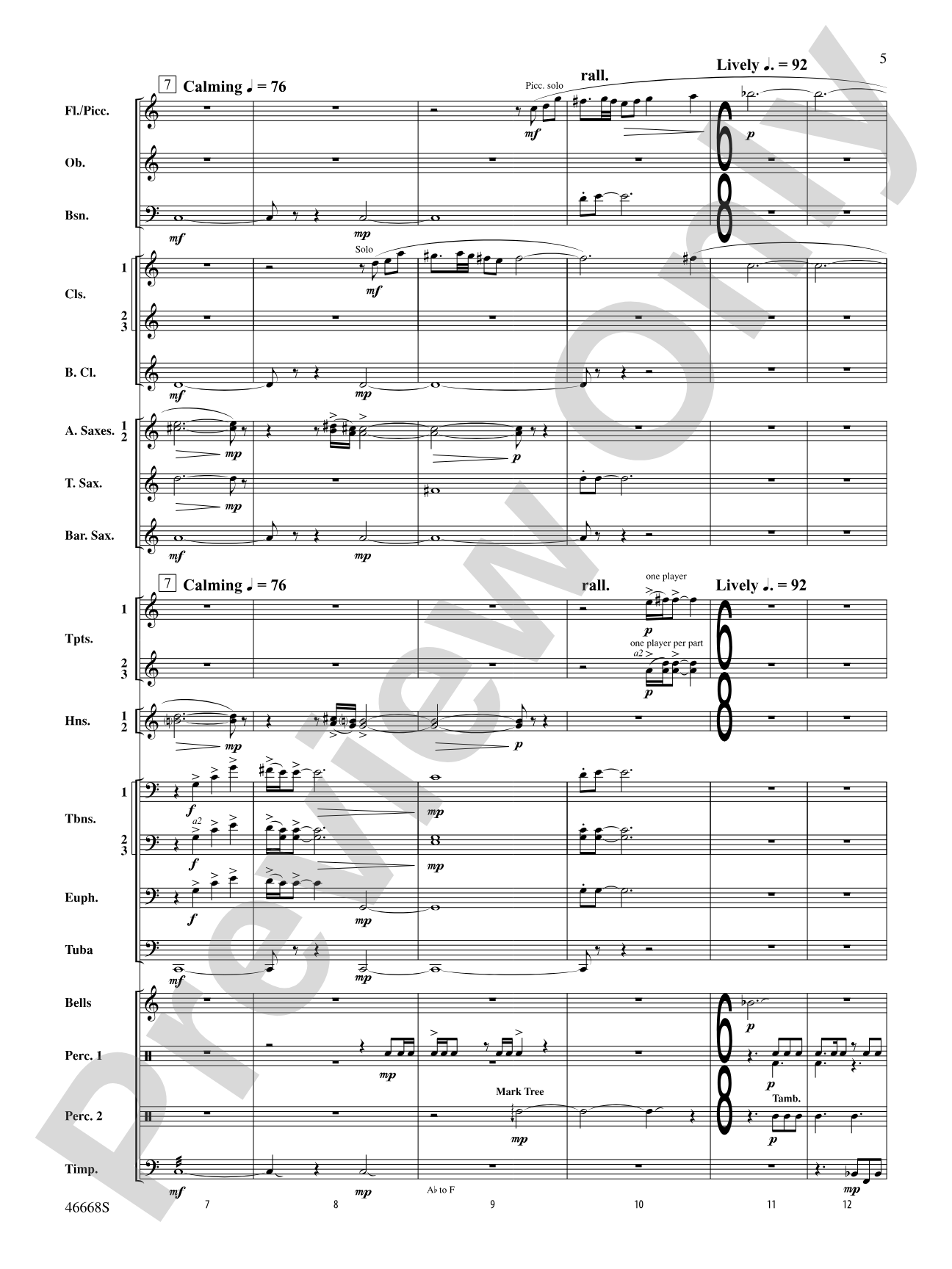 Skydance: Concert Band Conductor Score & Parts