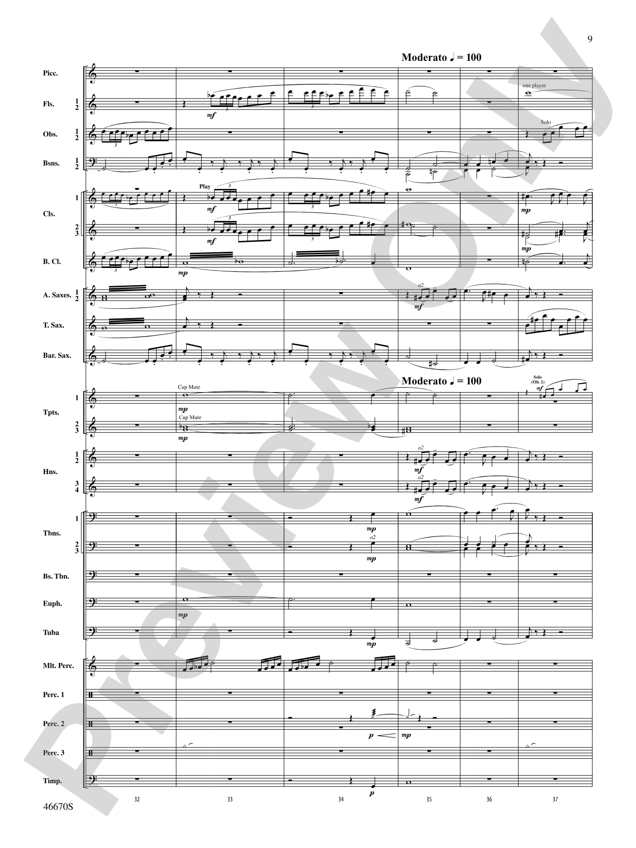 The Falls: Concert Band Conductor Score & Parts