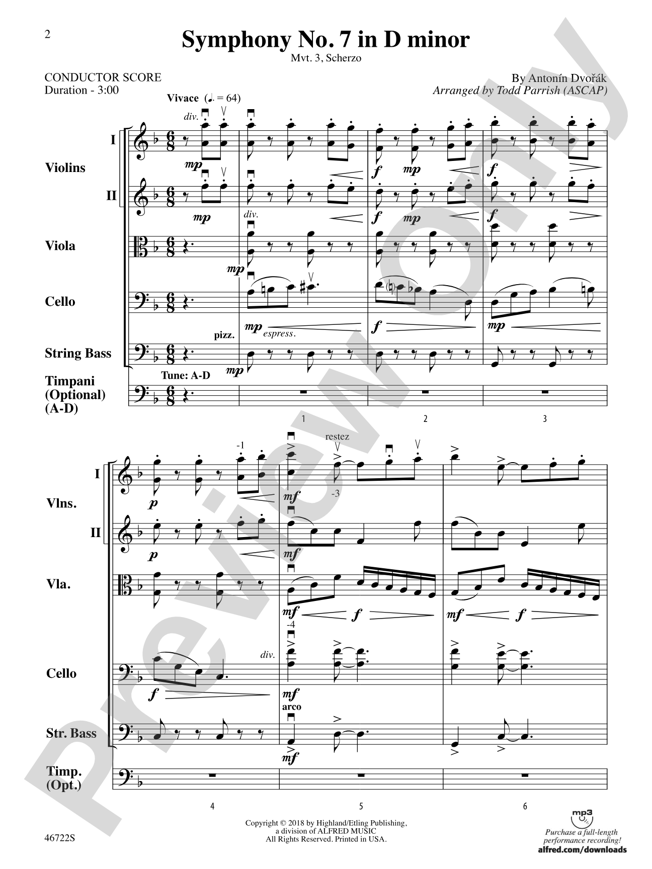 Symphony No. 7 in D Minor: String Orchestra Conductor Score & Parts