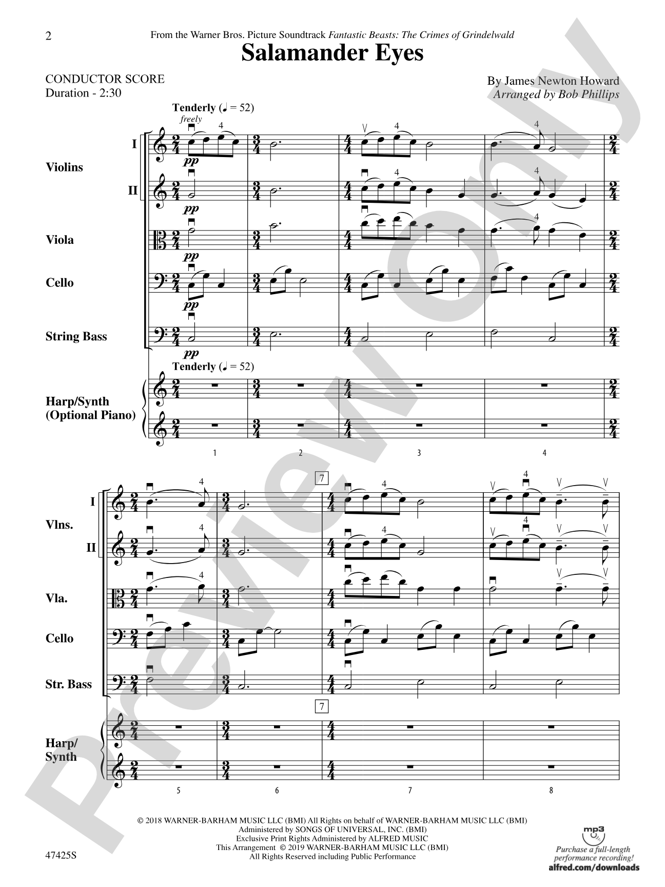 Salamander Eyes: String Orchestra Conductor Score & Parts