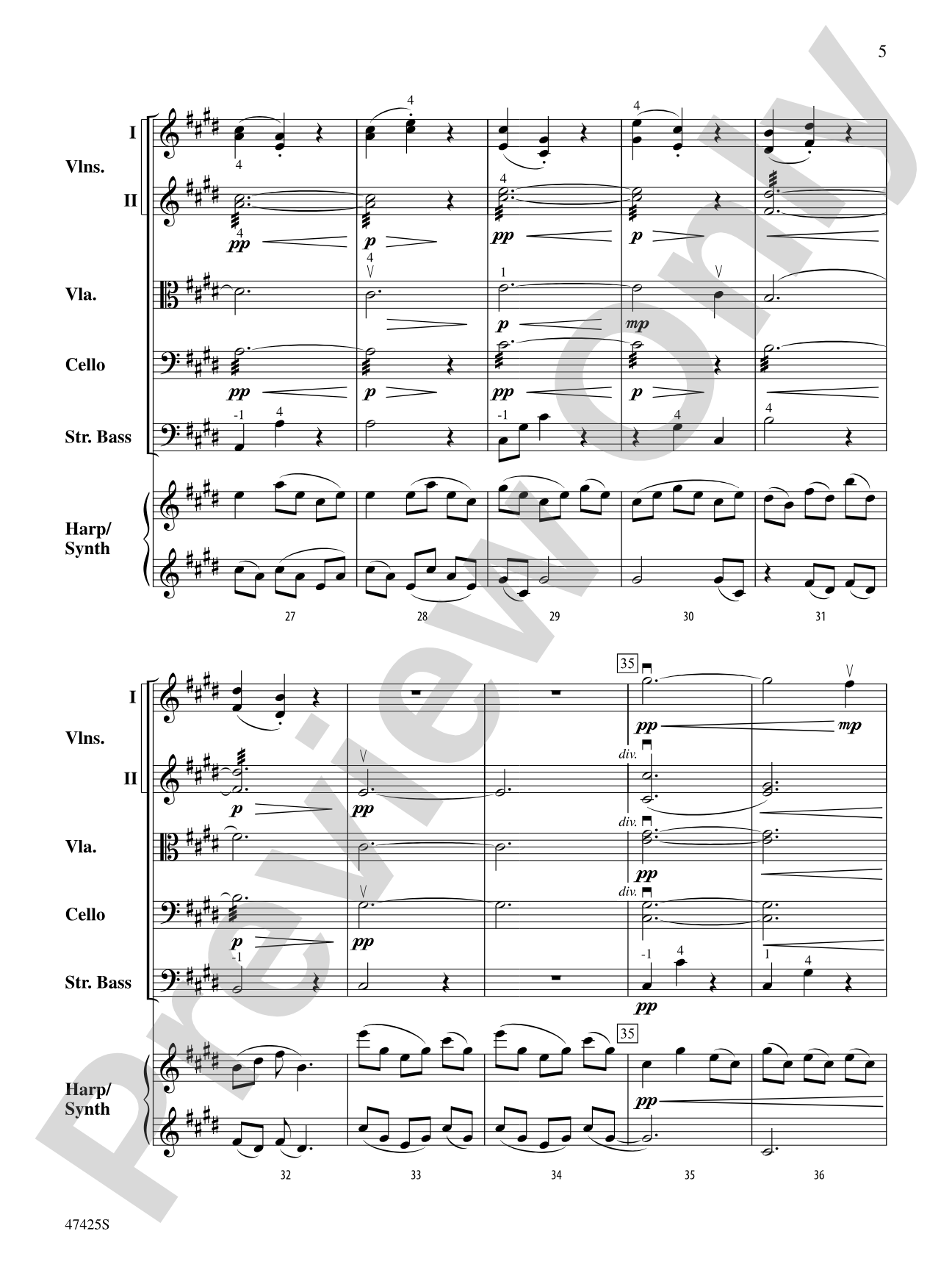 Salamander Eyes: String Orchestra Conductor Score & Parts
