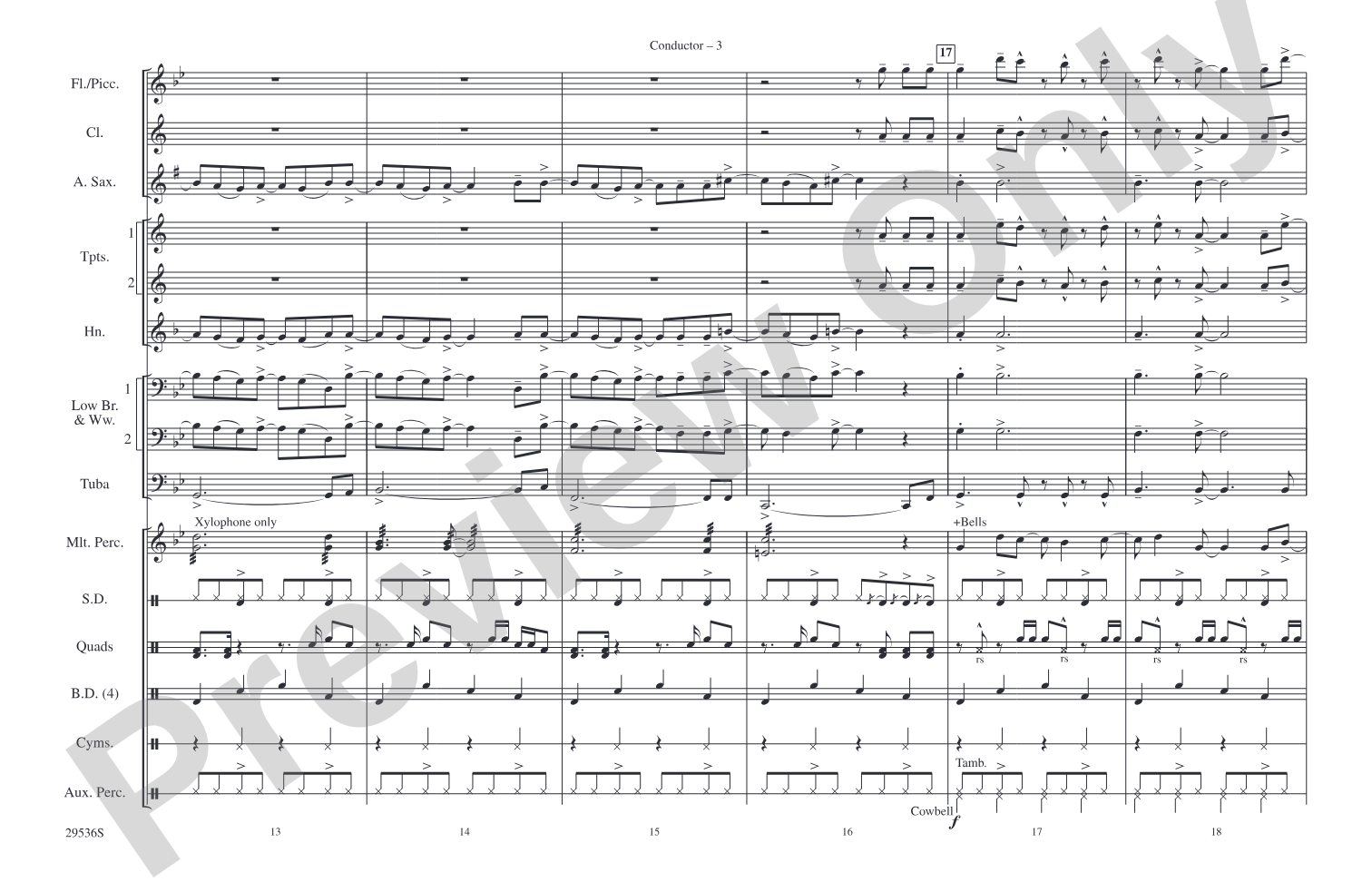 Into the Night: Marching Band Conductor Score & Parts