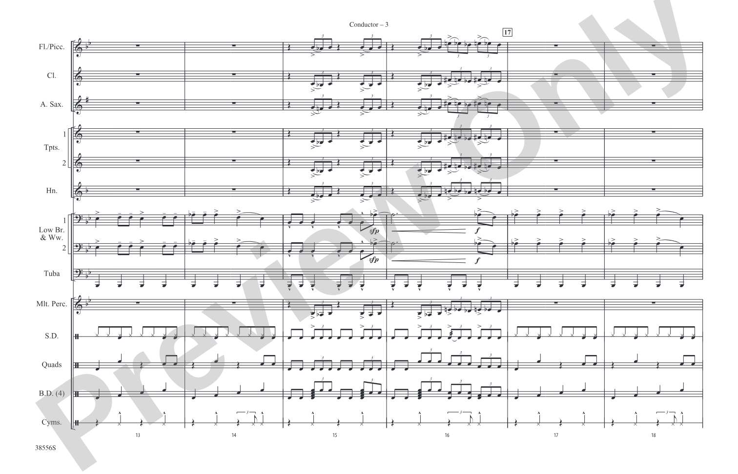 Burn It to the Ground: Marching Band Conductor Score & Parts