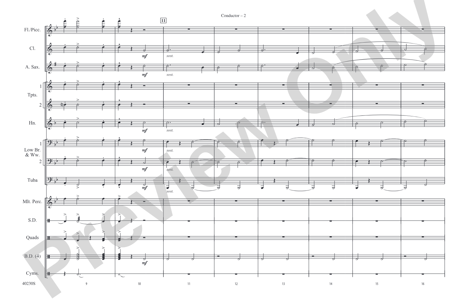 A Patriotic Salute!: Marching Band Conductor Score & Parts