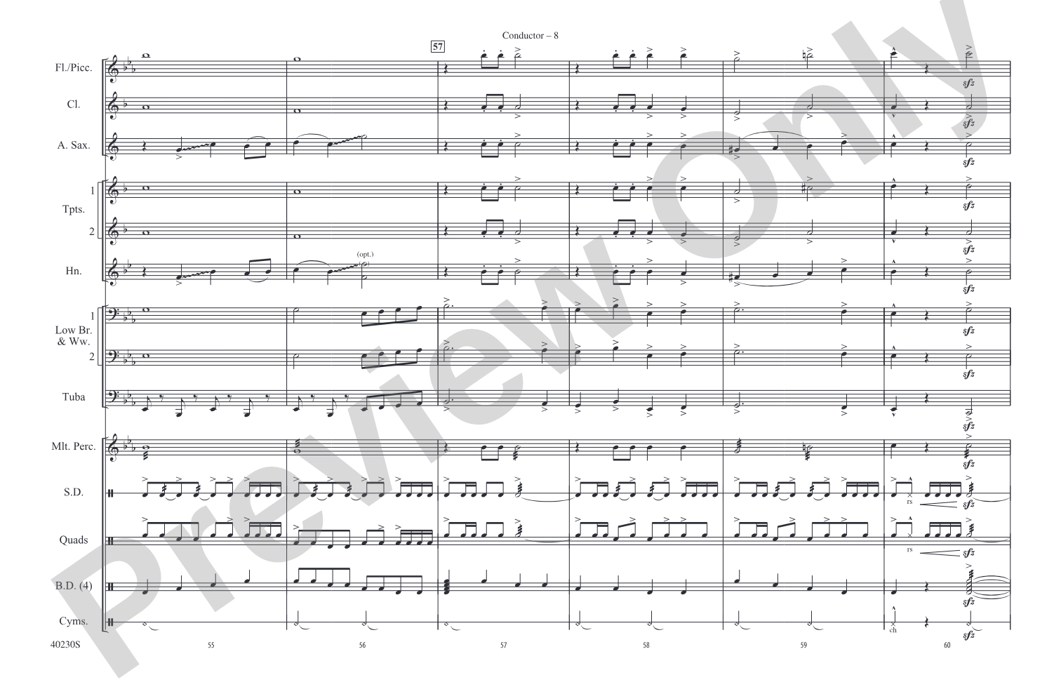 A Patriotic Salute!: Marching Band Conductor Score & Parts