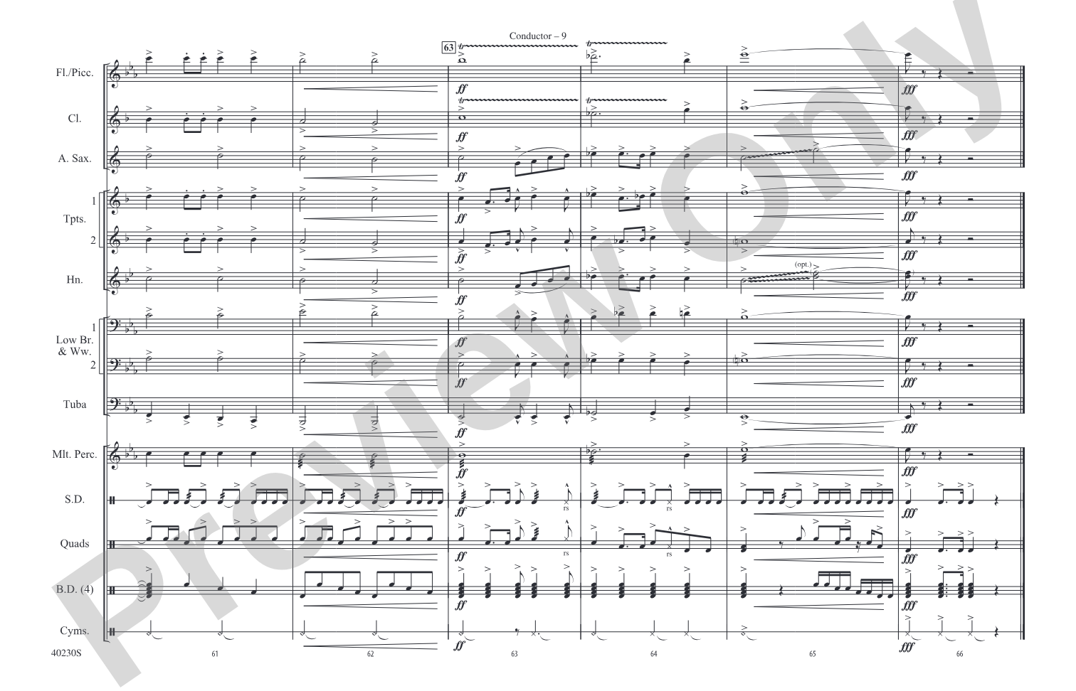 A Patriotic Salute!: Marching Band Conductor Score & Parts