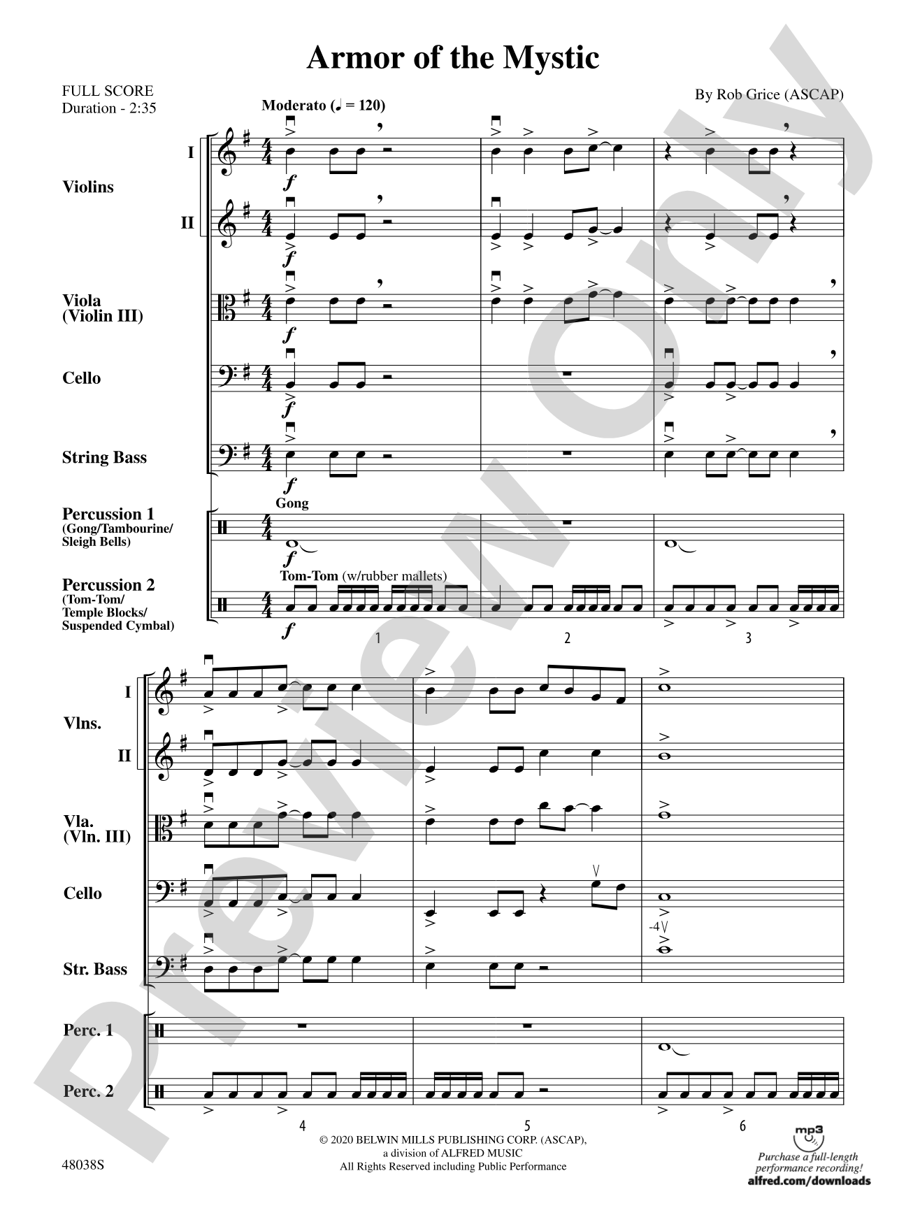Armor of the Mystic: String Orchestra Conductor Score & Parts