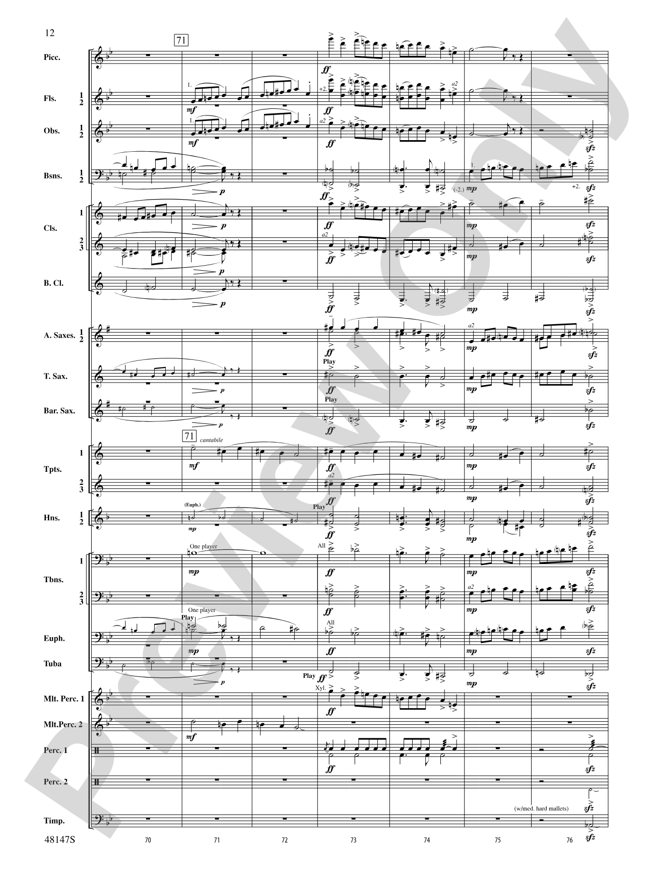 Reluctant Joys: Concert Band Conductor Score & Parts