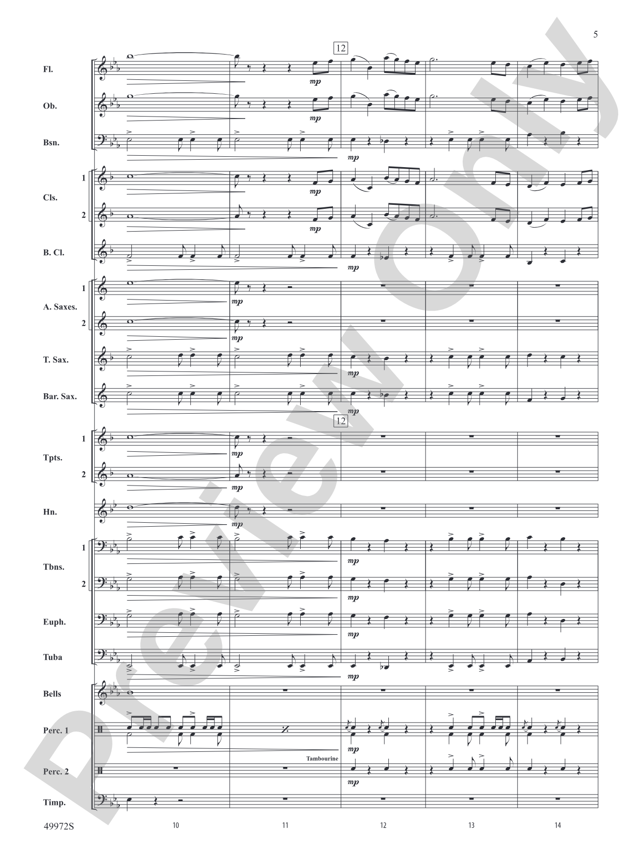 Run Toward the Sky: Concert Band Conductor Score & Parts