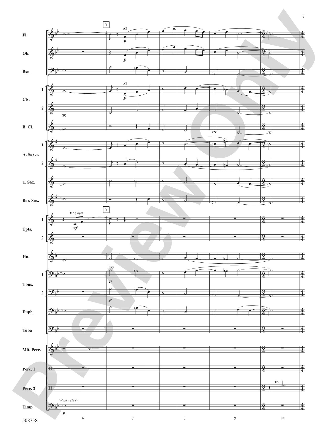 Great Falls Fantasy: Concert Band Conductor Score & Parts