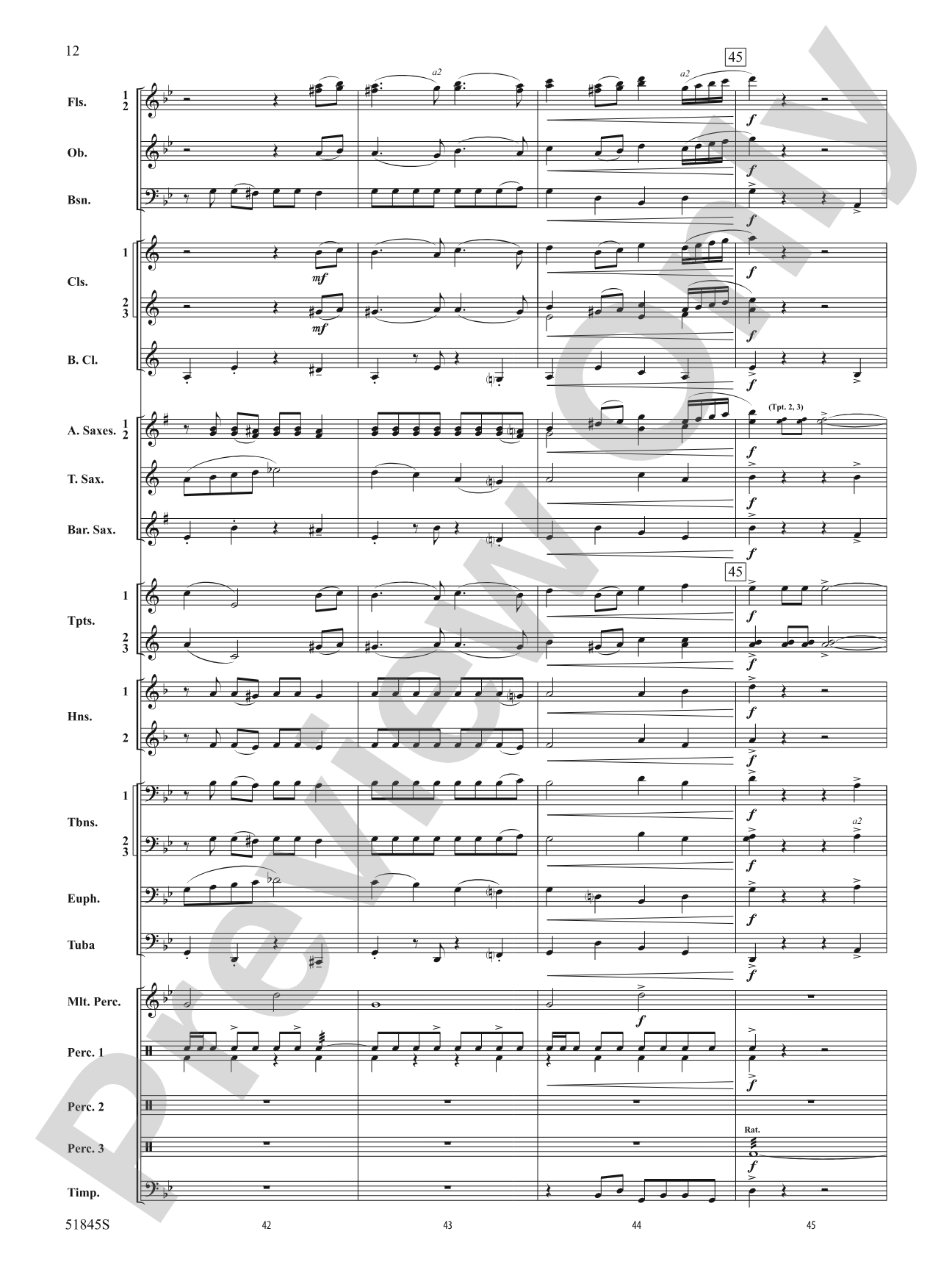 Tirelessly Through the Night...: Concert Band Conductor Score & Parts