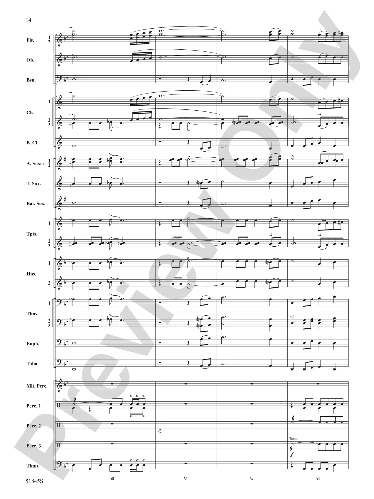 Tirelessly Through the Night...: Concert Band Conductor Score & Parts