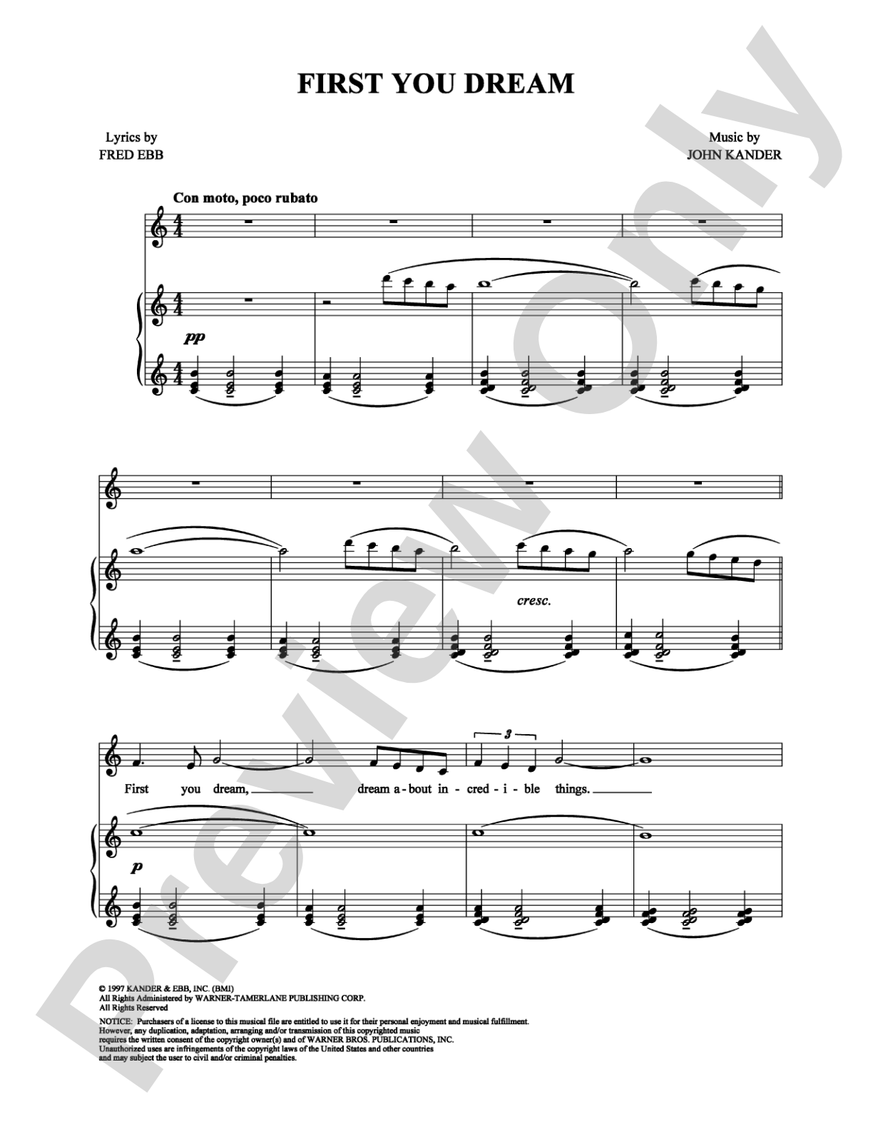 First You Dream: Piano/Vocal/Chords Digital Sheet Music
