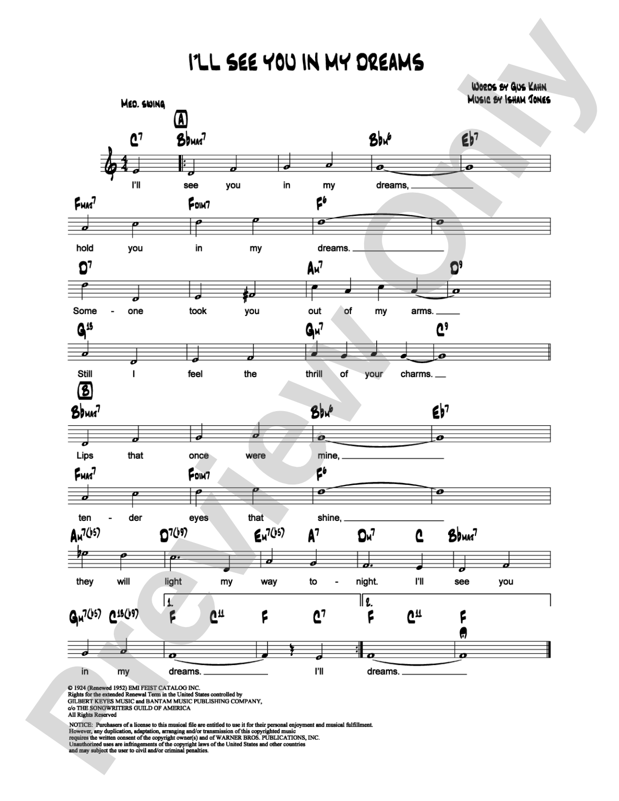 I'll See You in My Dreams: Lead Sheet Digital Sheet Music