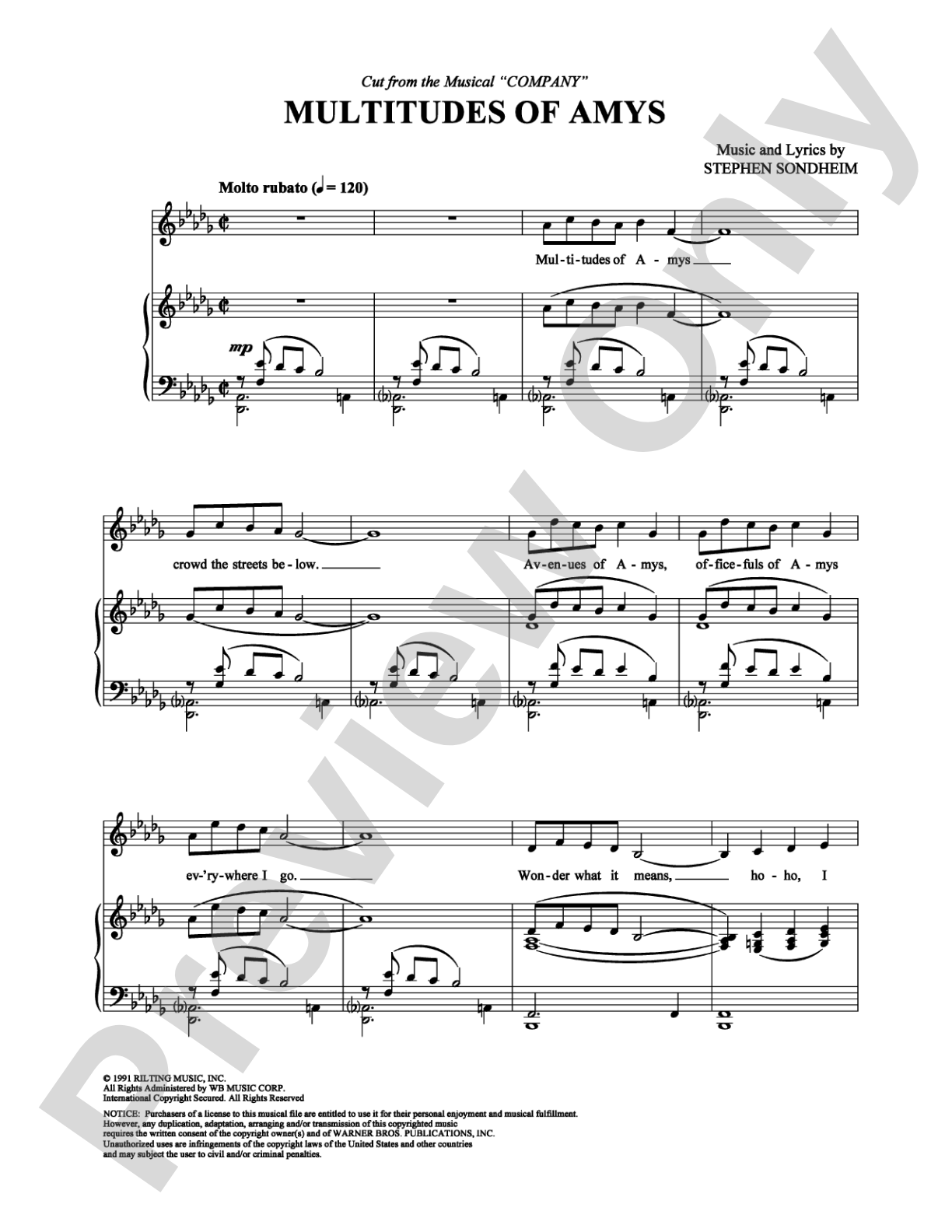 Multitudes of Amys: Piano/Vocal/Chords Digital Sheet Music